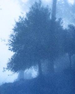 The Day Begins, 11 x 17 in., Cyanotype, ed. 1 of 3, Contemporary Landscape