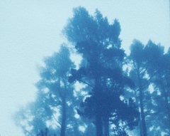The Day Begins, Cyanotype, 5 x 7 in., Ed. 2of 3, Contemporary Landscape