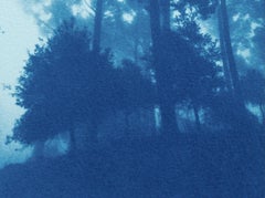 Il giorno inizia in cianotipia, 8,5 x 11 pollici, ed. 1 di 3, Paesaggio contemporaneo