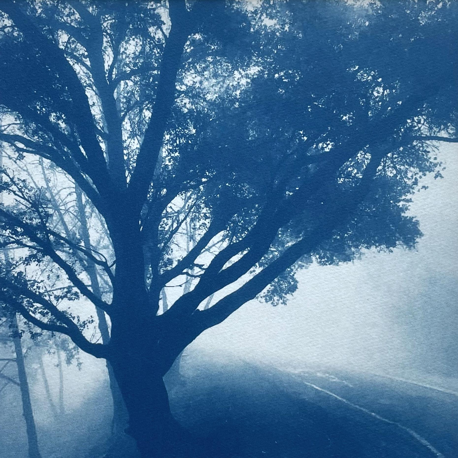 Christine So Landscape Photograph – The Journey (Handgedruckte Original-Cyanotypie, 12 x 12", Auflage 2 von 5)