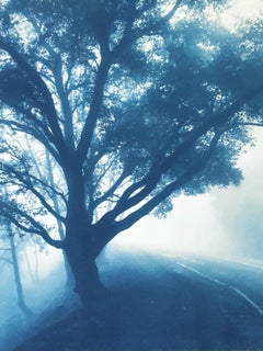 The Journey (Handgedruckte Original-Cyanotypie, 24 x 18 Zoll)