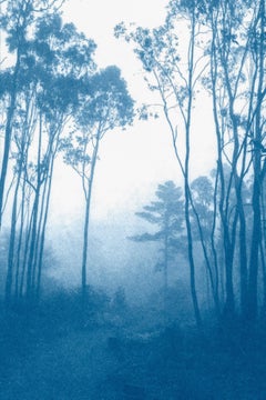 The Journey's End  (Framed hand-printed cyanotype: 24 x 36 inches)