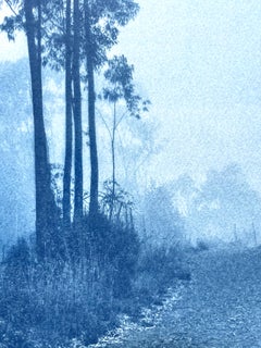 The Journey's End II Cyanotype Photograph, Hand-printed, 18x10", ed 3 of 10