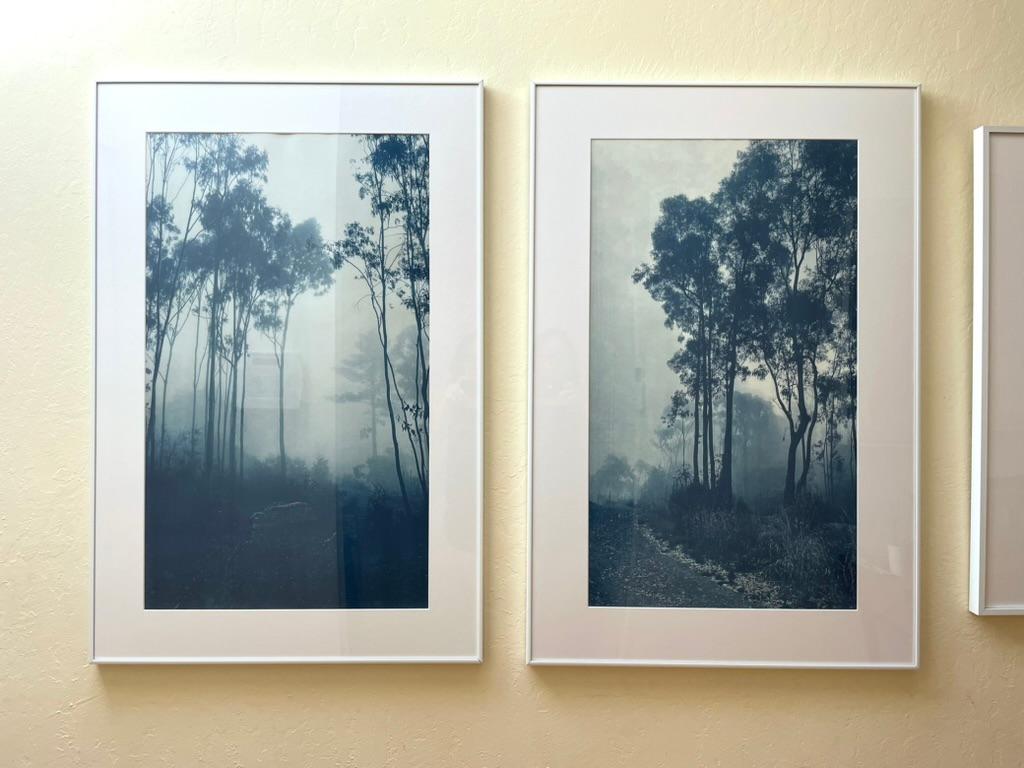 Handgedrucktes Original-Cyanotypie-Foto auf Arches Hot Press (glattes) Baumwoll-Aquarellpapier mit geriffelten Rändern.  Nur einer von 5 Drucken, die in diesem Großformat hergestellt wurden. Es gibt auch kleinere Größen.

Es handelt sich um eine