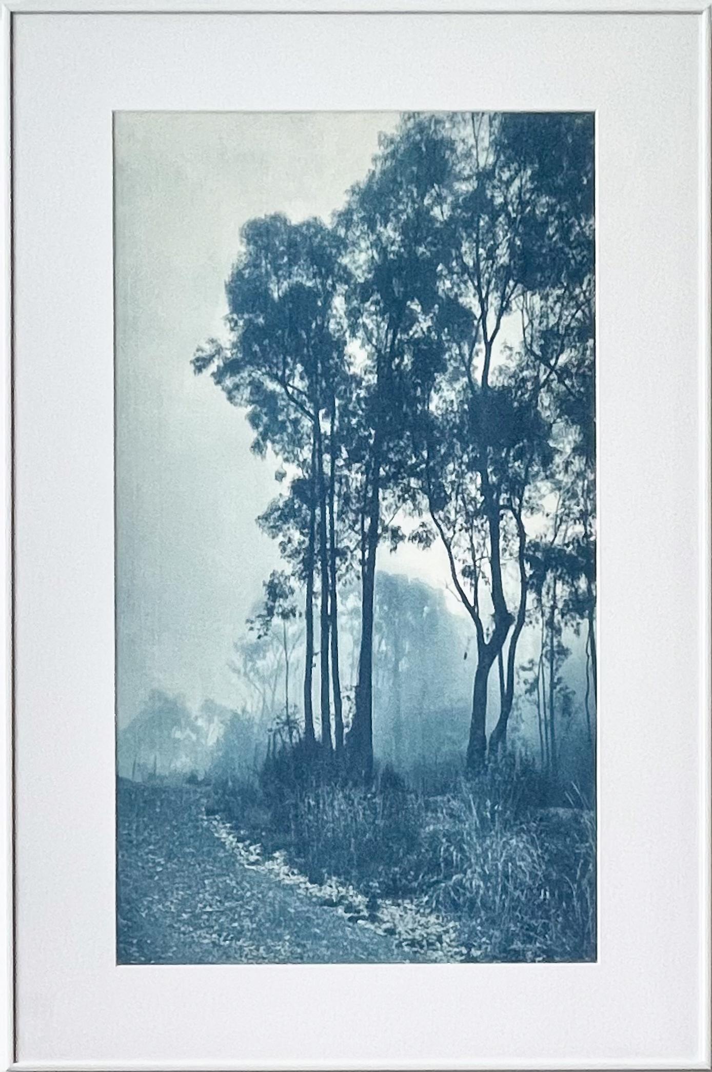 The Journey's End II ( Gerahmte, handgedruckte Cyanotypie, 36 x 24 Zoll) (Blau), Landscape Photograph, von Christine So