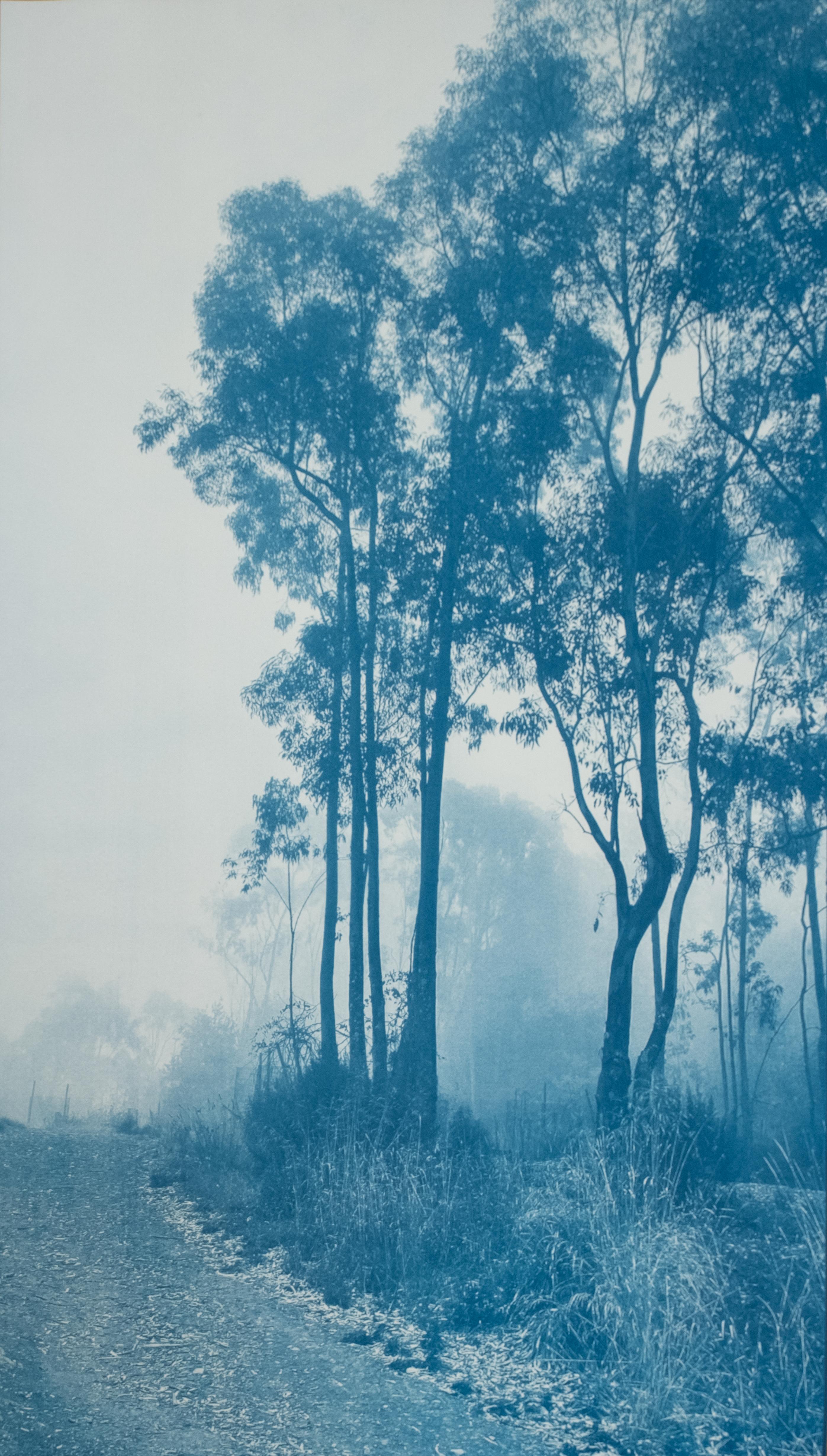 Christine So Landscape Photograph – The Journey's End II ( Gerahmte, handgedruckte Cyanotypie, 36 x 24 Zoll)