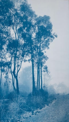 The Journey's End II (Hand-printed cyanotype, 18 x 10 inches)