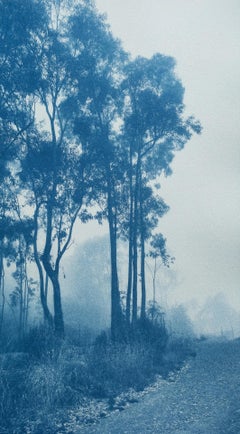 The Journey's End II (Hand-printed cyanotype, 35 x 21 inches, ed 1 of 3)