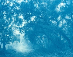 The Path Home, cyanotype, 9 x 17 in., Ed. 1 of 3, Contemporary Landscape