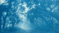 The Path Home, cyanotype, 9 x 17 in., Ed. 1 of 3, Contemporary Landscape