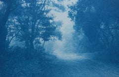 Der Heimweg II, Cyanotypie, 9 x 17 Zoll, Ed. 1 von 3, Zeitgenössische Landschaft