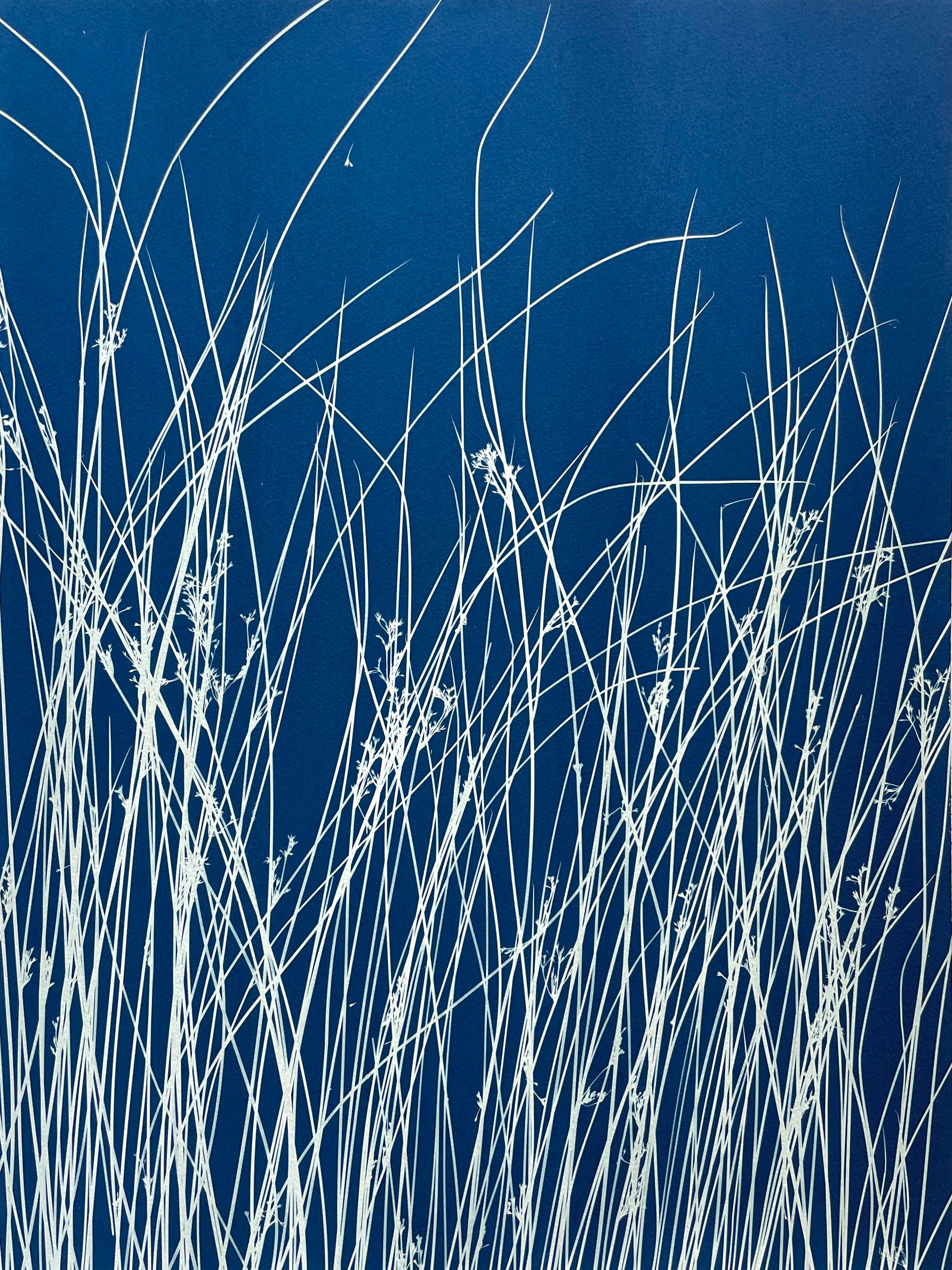 Dittico dello stagno  (2 cianotipi botanici stampati a mano, 24 x 18 pollici ciascuno) - Print di Christine So