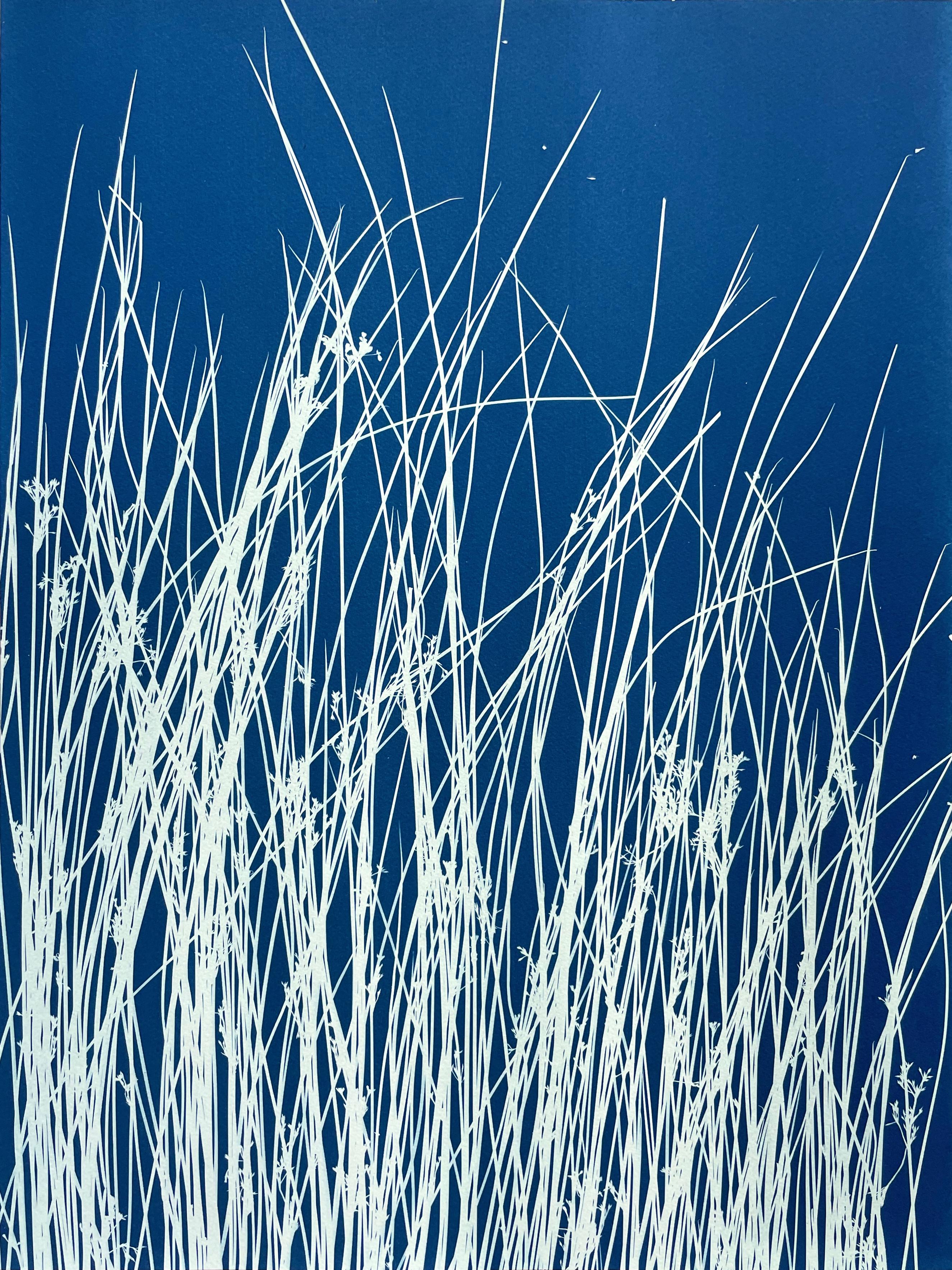 Dittico dello stagno  (2 cianotipi botanici stampati a mano, 24 x 18 pollici ciascuno) - Print Contemporaneo di Christine So