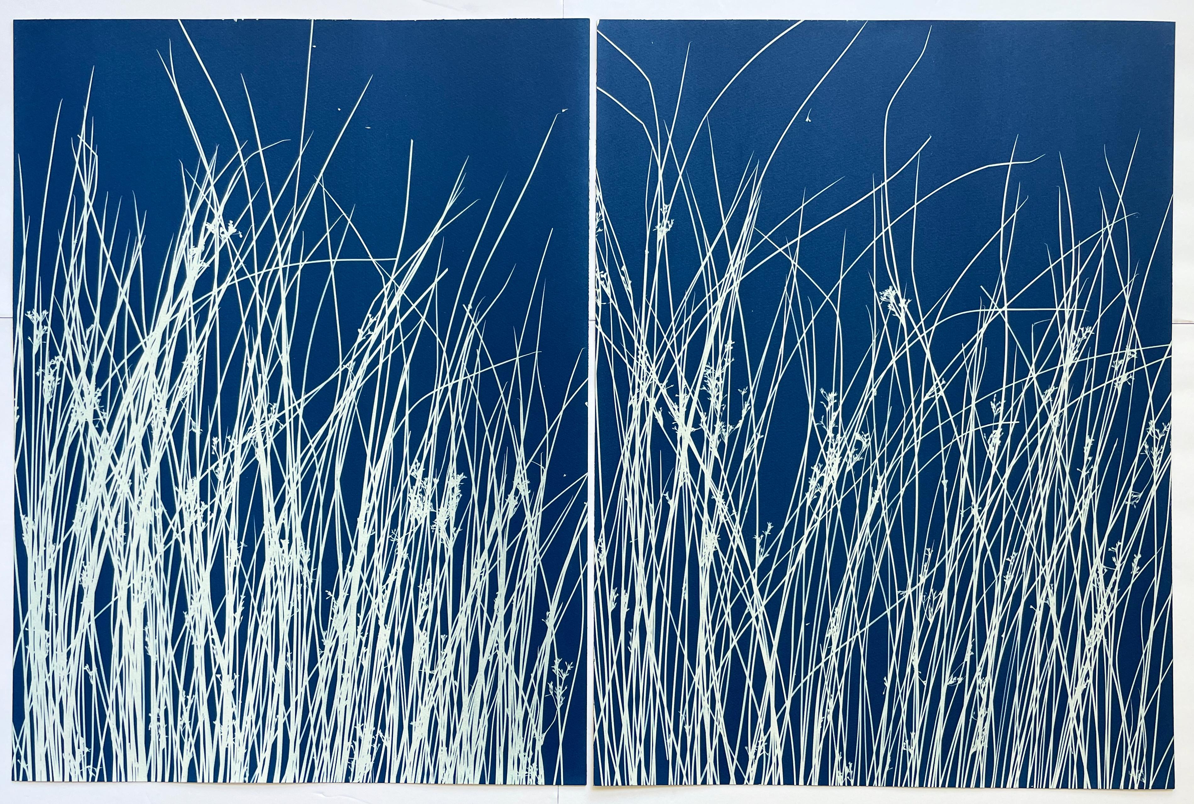 Dittico dello stagno  (2 cianotipi botanici stampati a mano, 24 x 18 pollici ciascuno) - Still-Life Print Blu di Christine So