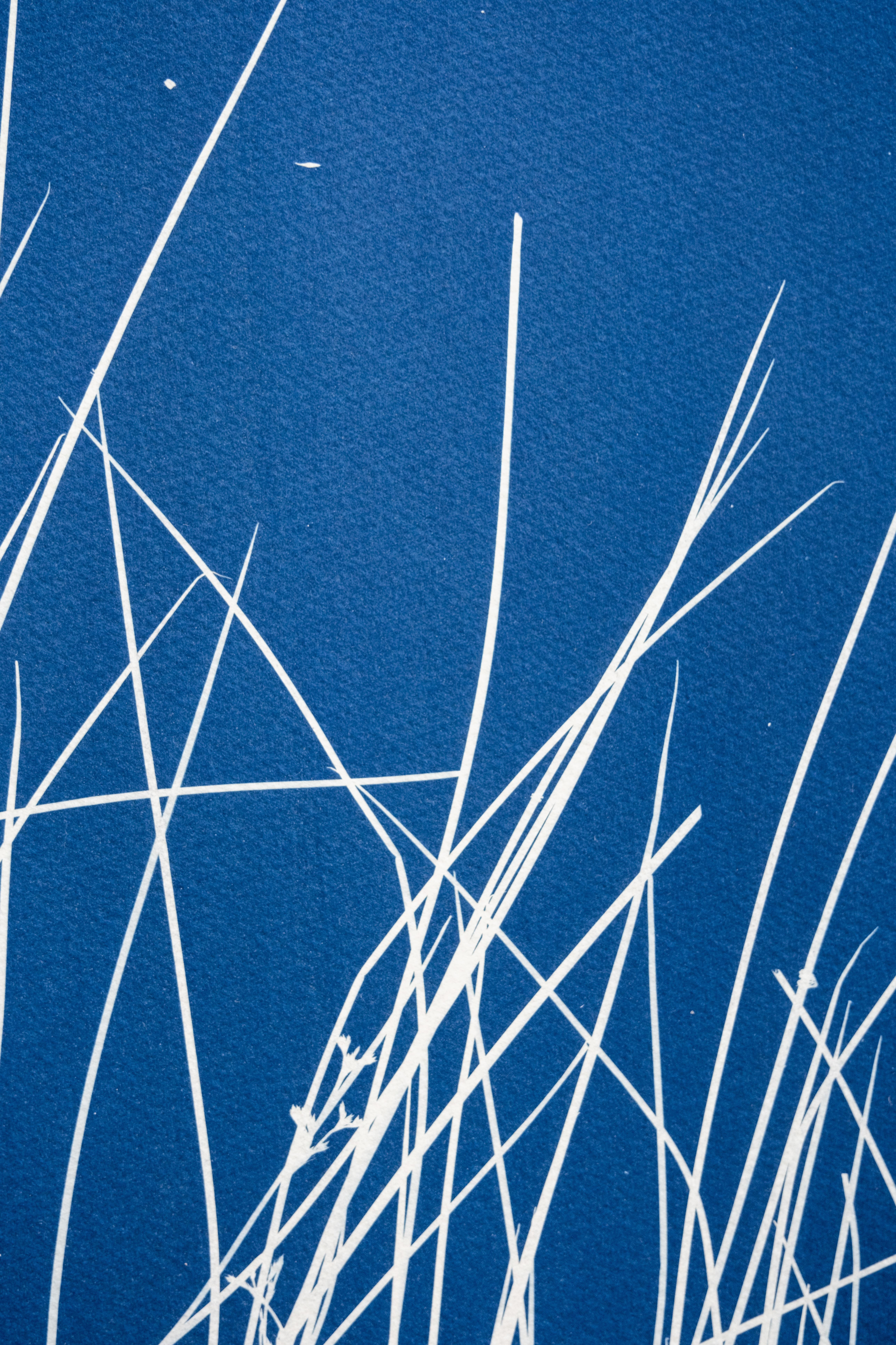 The Pond II  (hand-printed botanical cyanotype, 24 x 18 inches) - Contemporary Photograph by Christine So