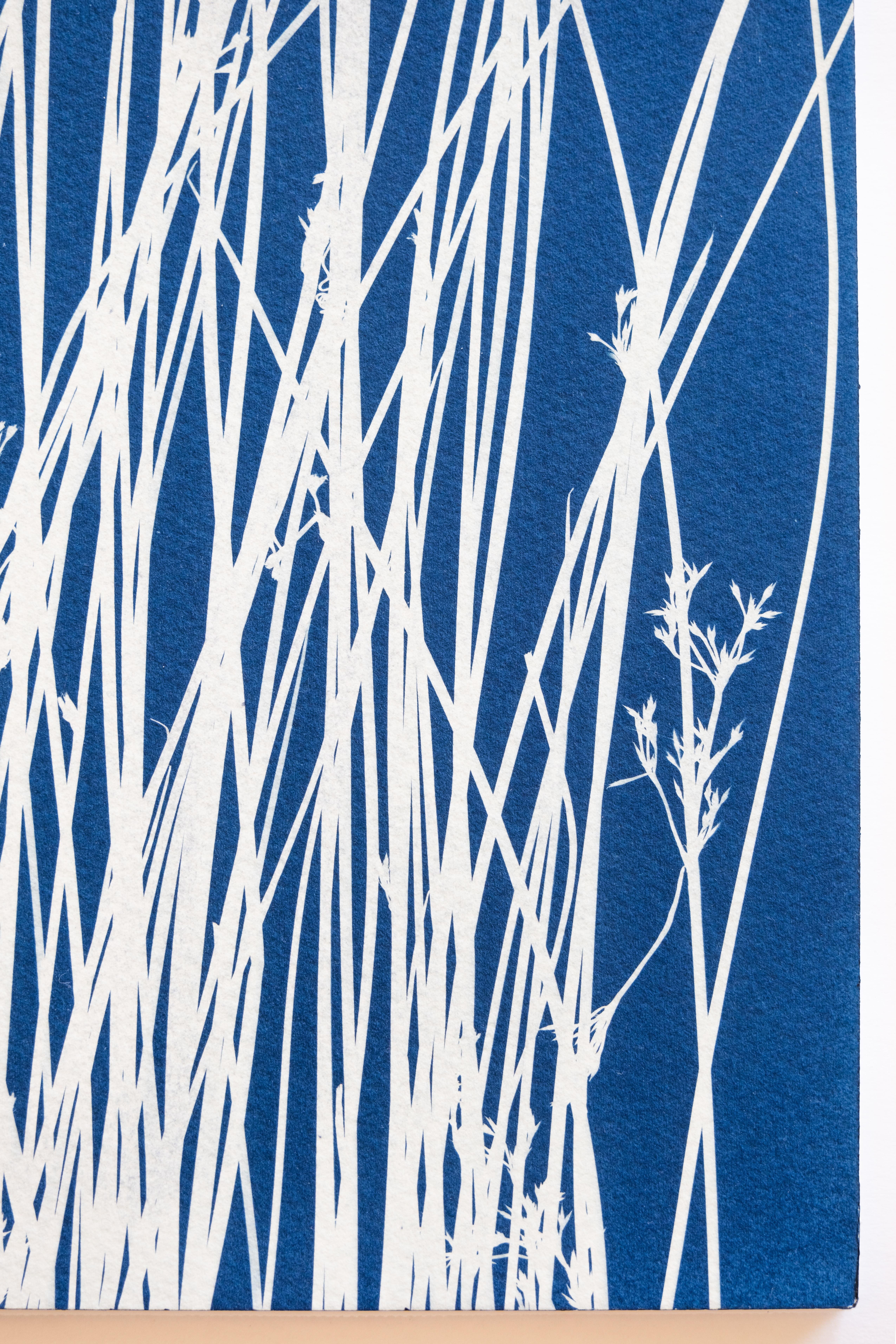 The Pond II  (hand-printed botanical cyanotype, 24 x 18 inches) For Sale 1