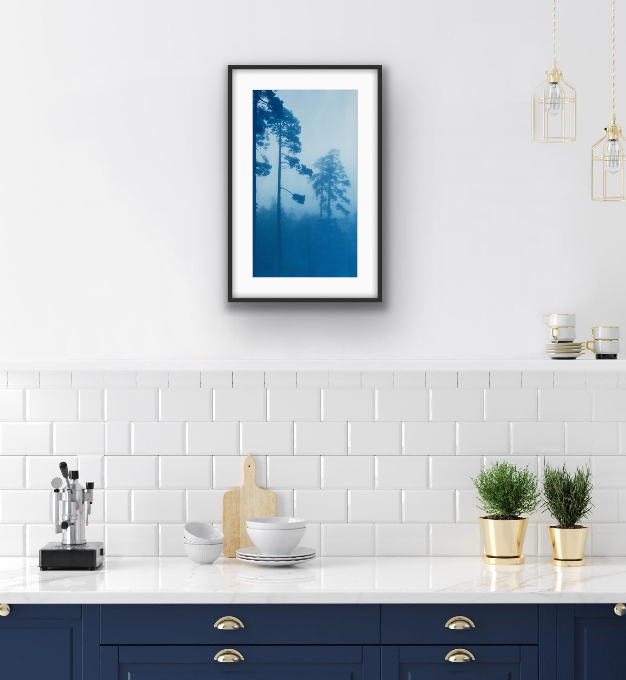 The Tallest Pine (Hand-druckte Cyanotypie, 27 x 15 Zoll) – Photograph von Christine So