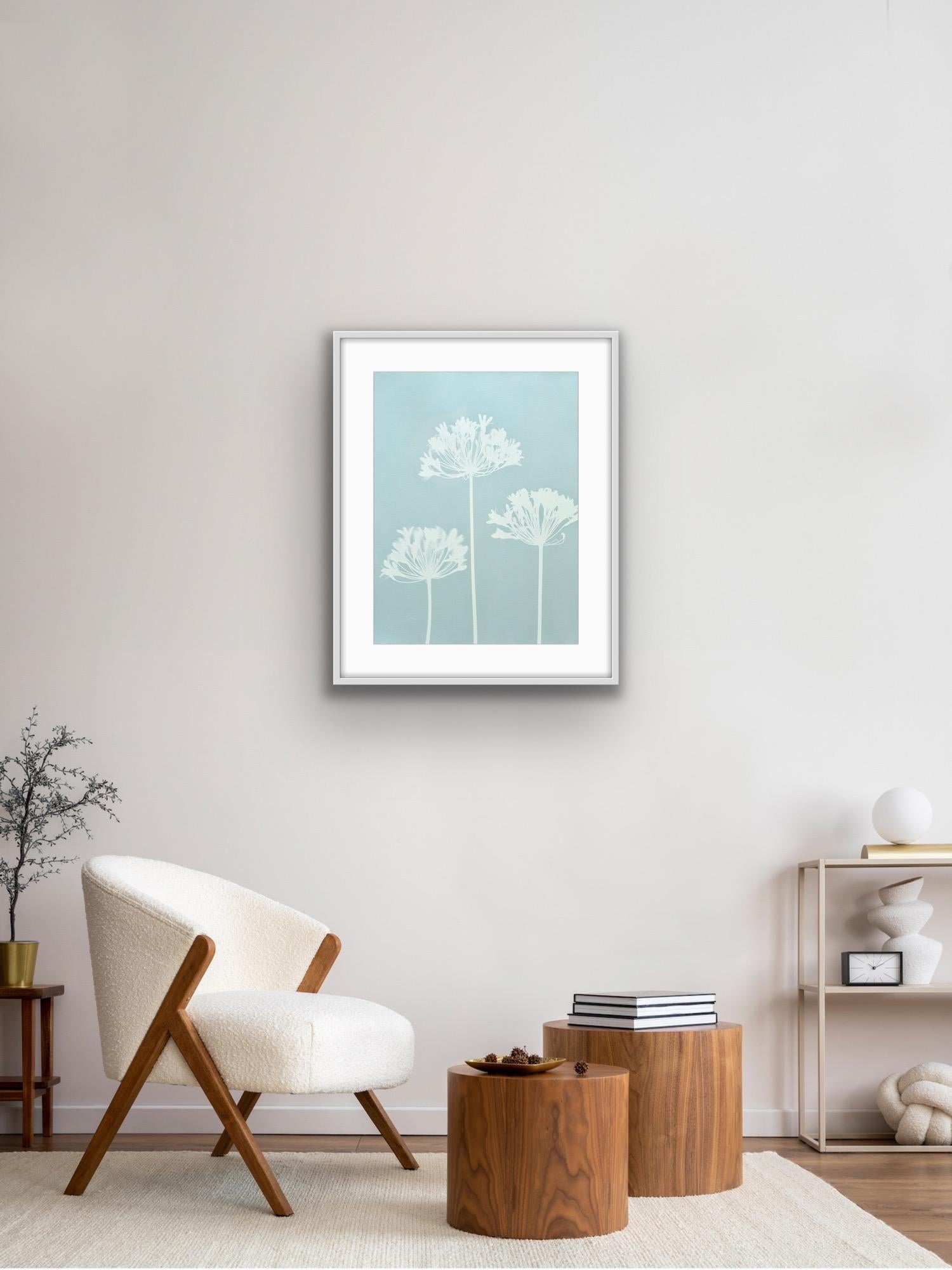 Drei Celadon-Apanthus ( 24 x 18 Zoll handgedruckte Cyanotypie) – Photograph von Christine So