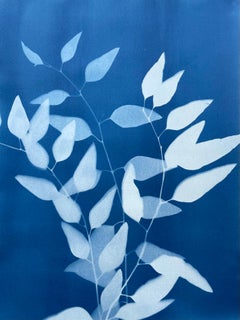 Three Eucalyptus Branches ( 24 x 18 inch hand-printed cyanotype)