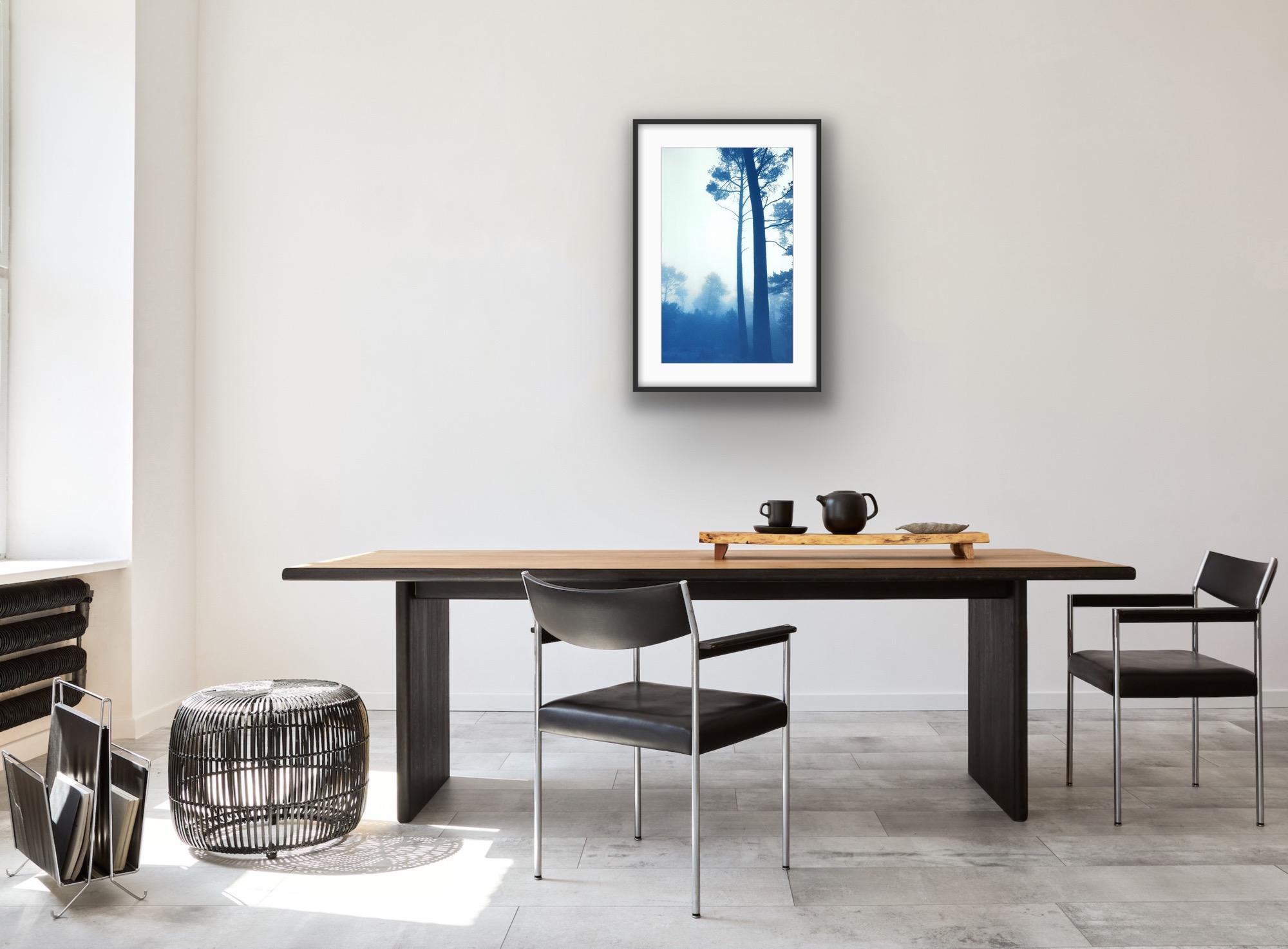 Dos altos pinos, edición 1 de 10 (cianotipia impresa a mano, 18 x 11 pulgadas) - Print Contemporáneo de Christine So