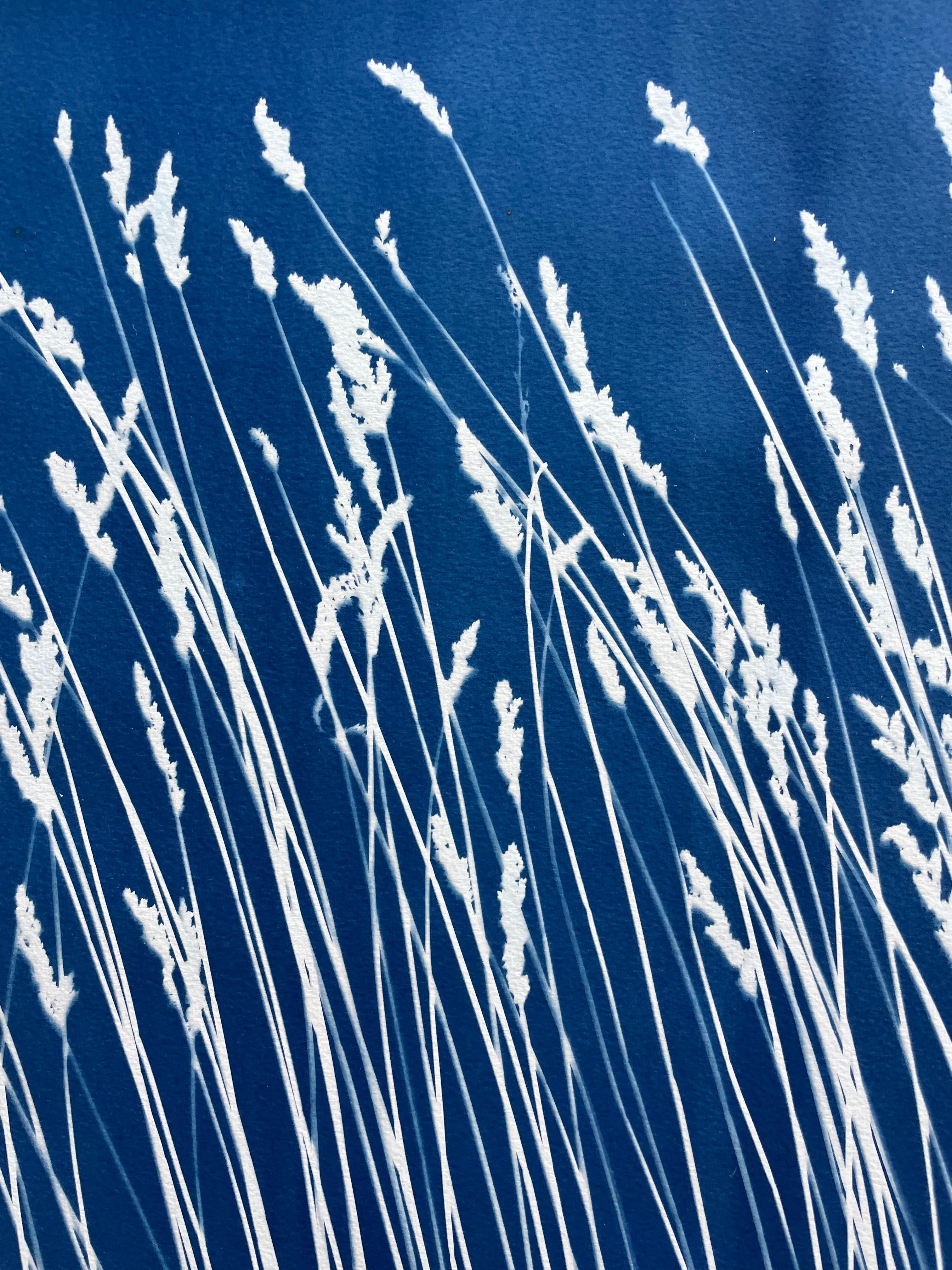Wild Reeds (cyanotype/ monotype, 18x 45 inches) For Sale 6
