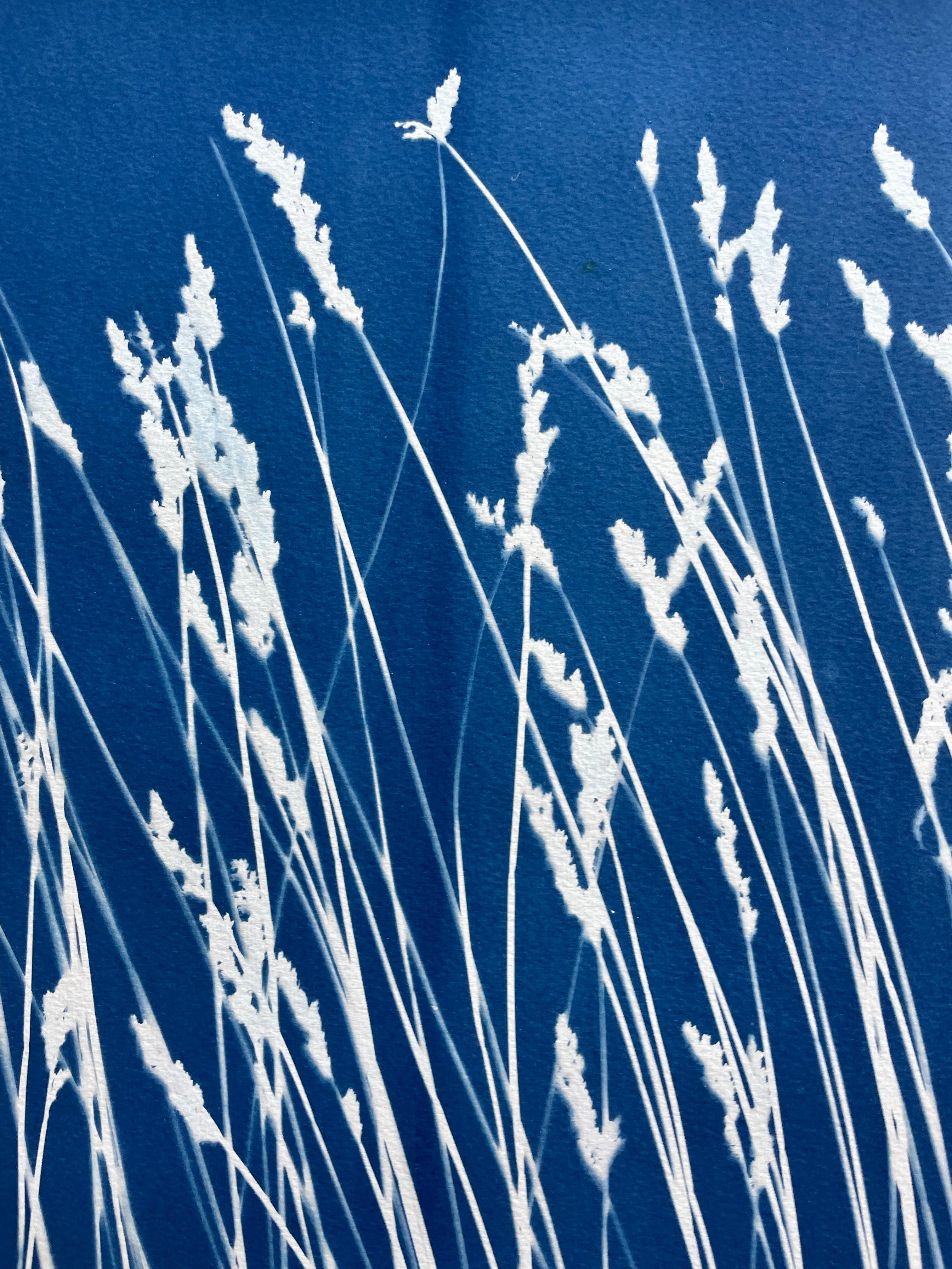 Wild Reeds (cyanotype/ monotype, 18x 45 inches) For Sale 7