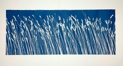 Canne selvatiche (cianotipo/monotype, 18x 45 pollici)