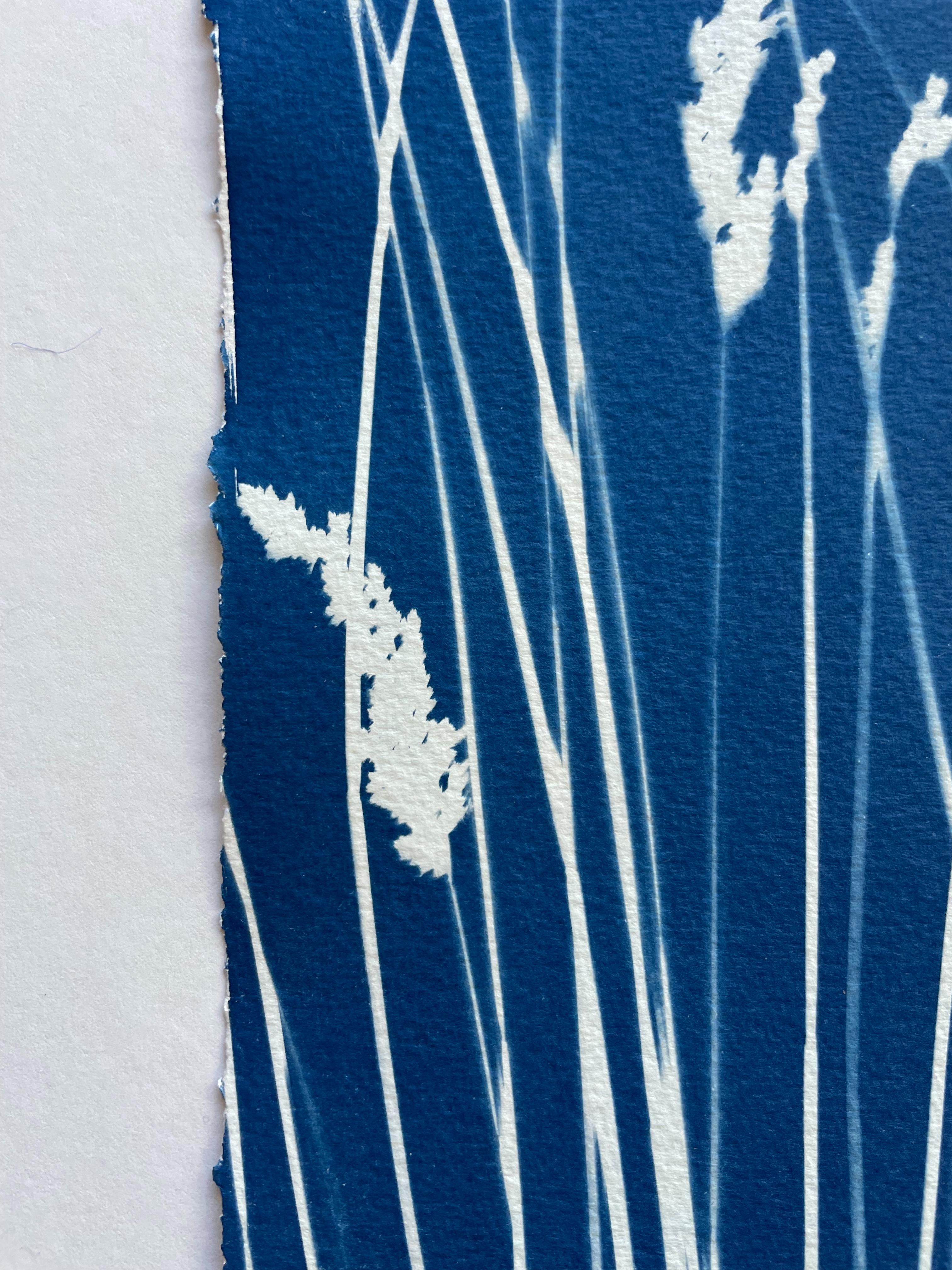 Wild Reeds (cyanotype/ monotype, 18x 45 inches) - Contemporary Print by Christine So