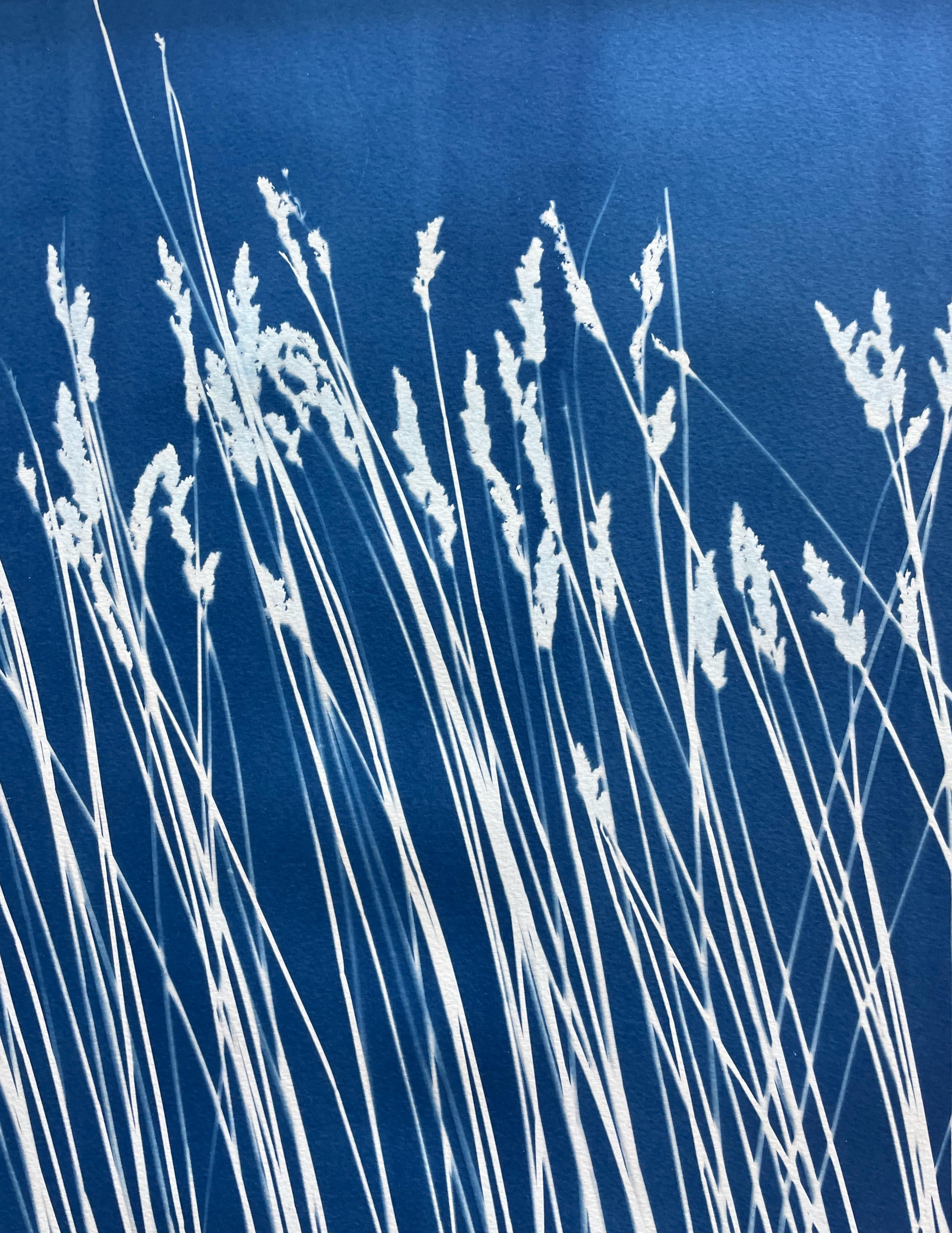 This nearly 4-foot long one-of-a-kind cyanotype with hand-torn deckled edges was made by carefully arranging hundreds of individual blades of the South African reed called 