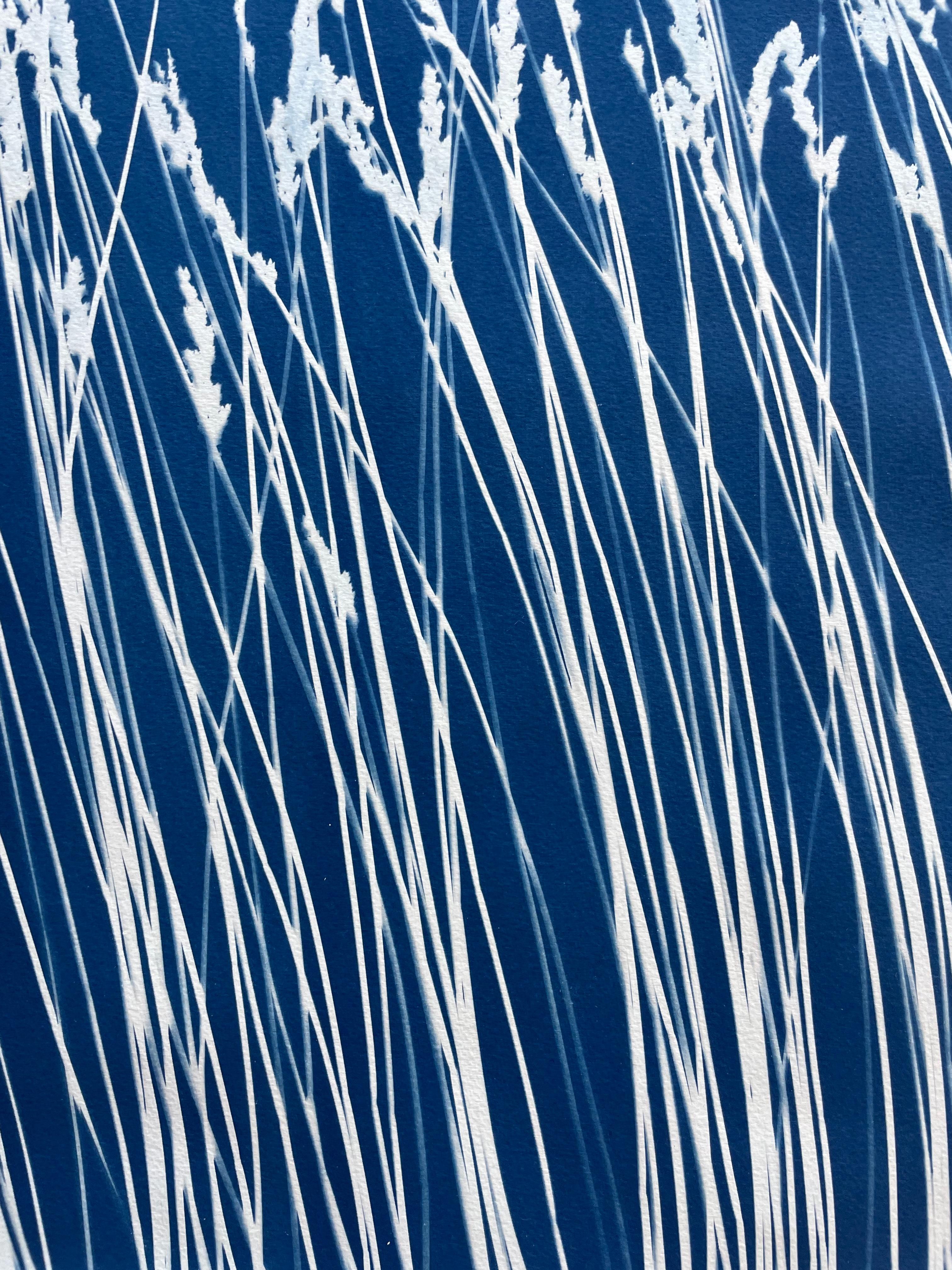 Wild Reeds (cyanotype/ monotype, 18x 45 inches) For Sale 1
