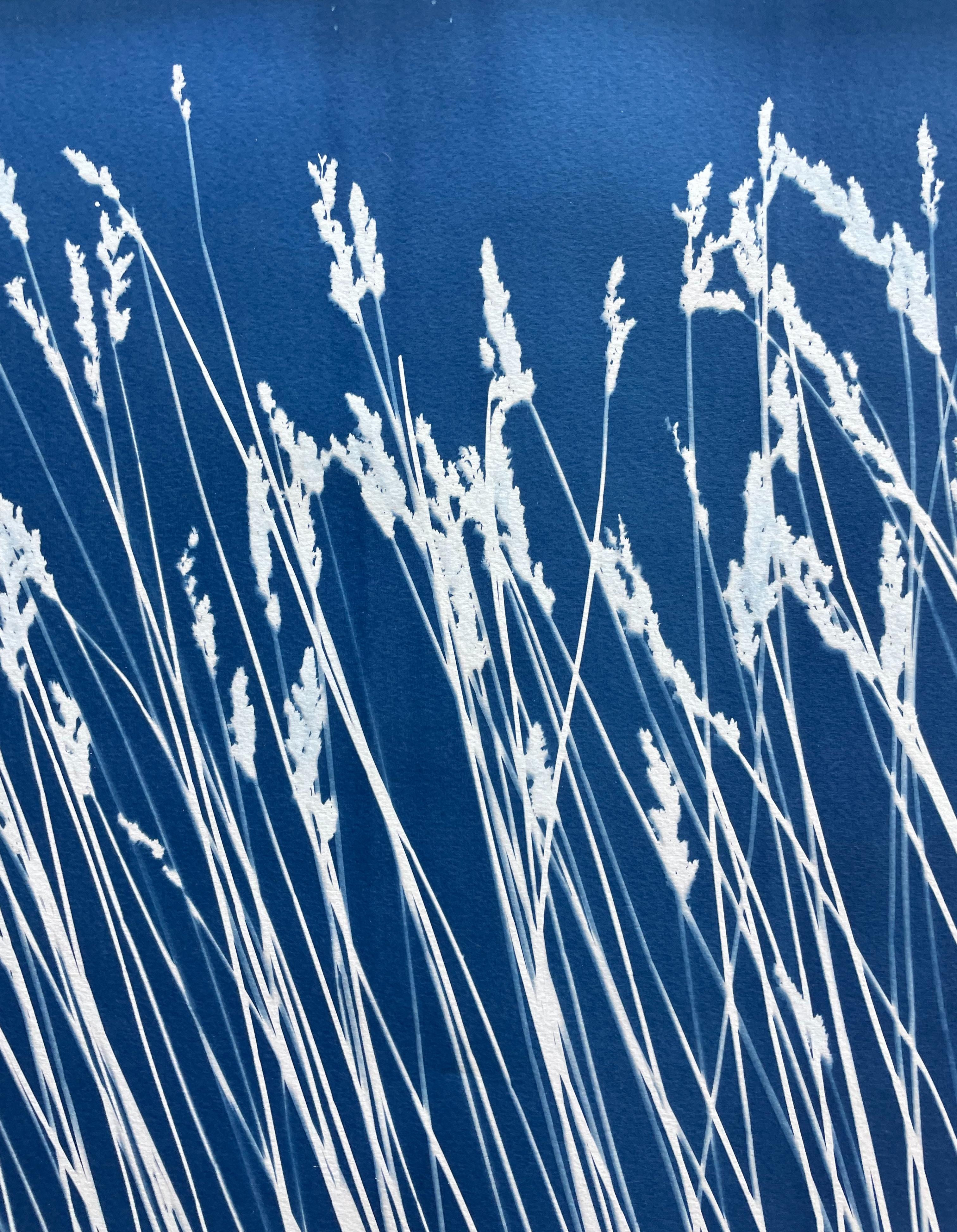 Wild Reeds (cyanotype/ monotype, 18x 45 inches) For Sale 3