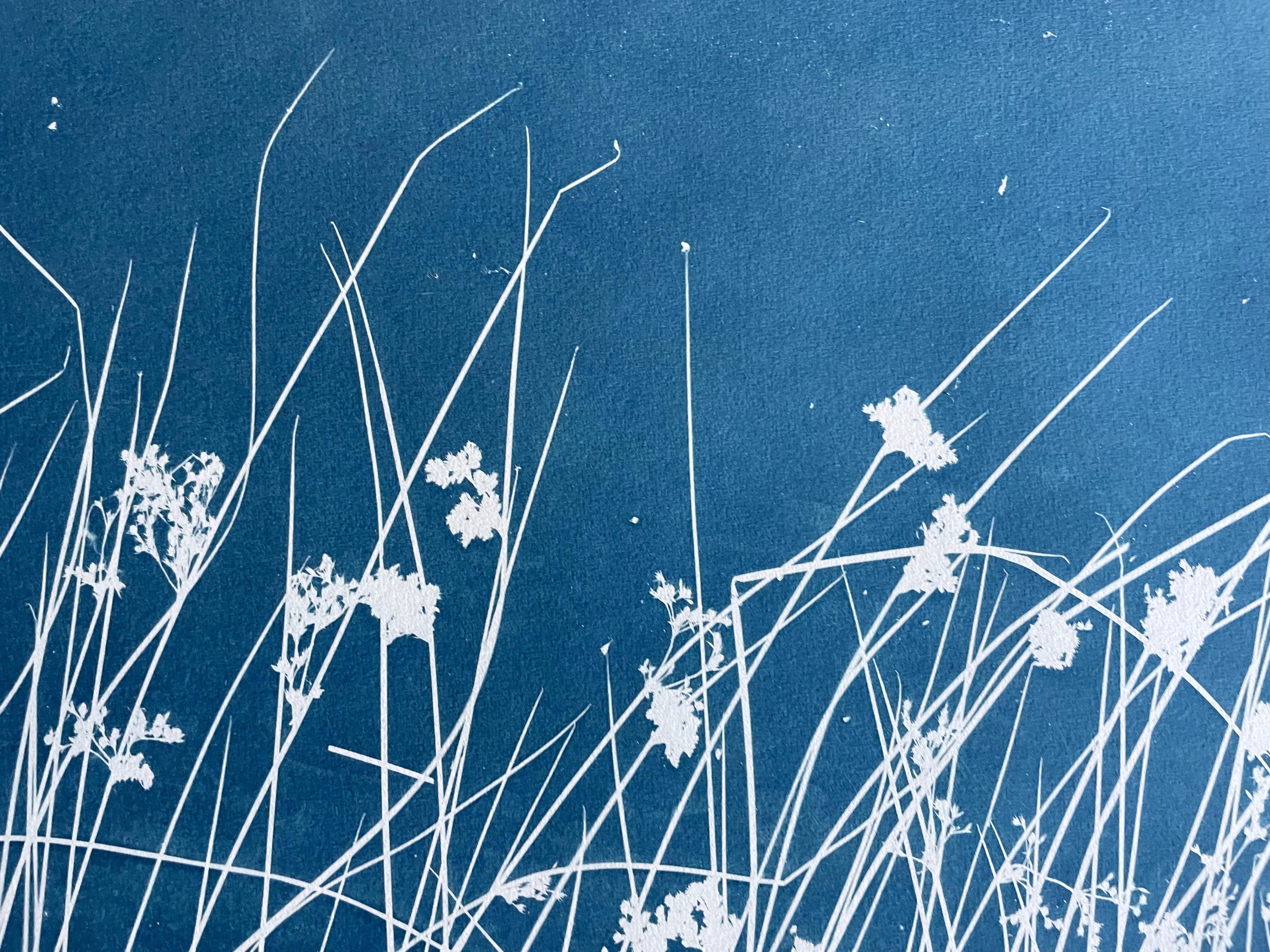 Viento en el pantano (cianotipia botánica impresa a mano, 24 x 60 pulgadas) - Still-Life Print Azul de Christine So