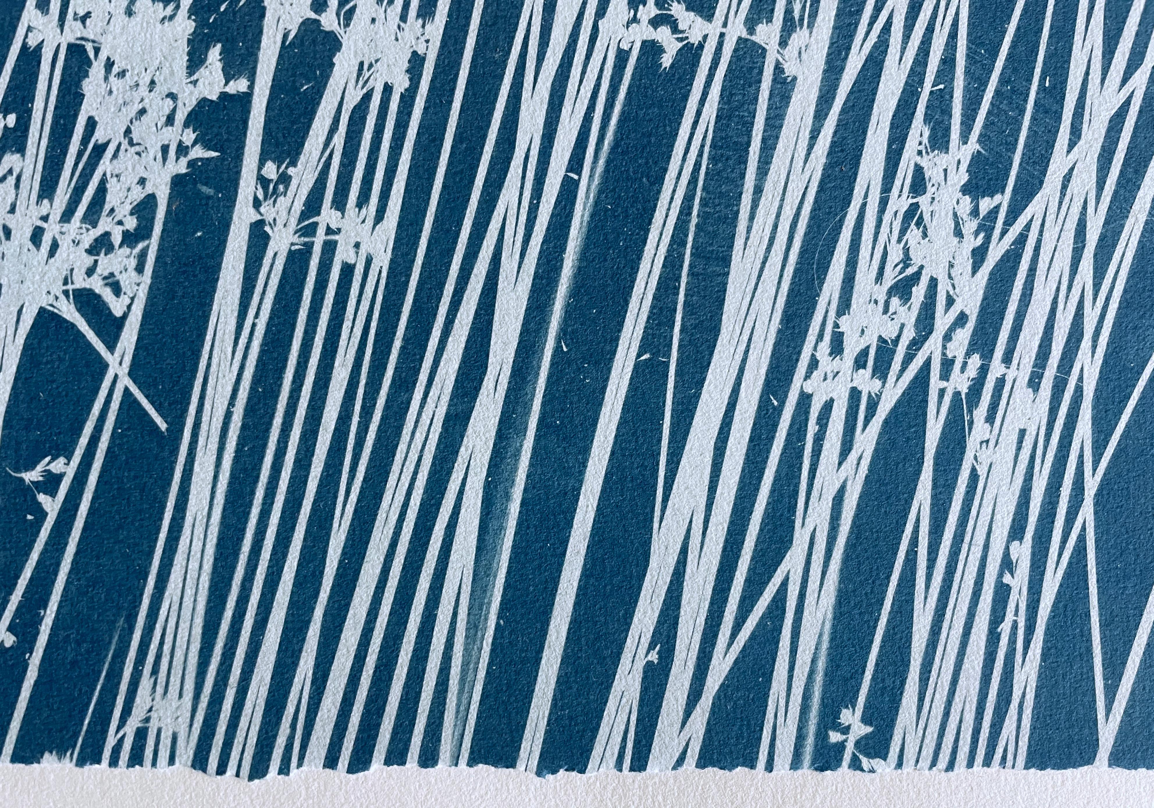 Viento en el pantano (cianotipia botánica impresa a mano, 24 x 60 pulgadas) 1