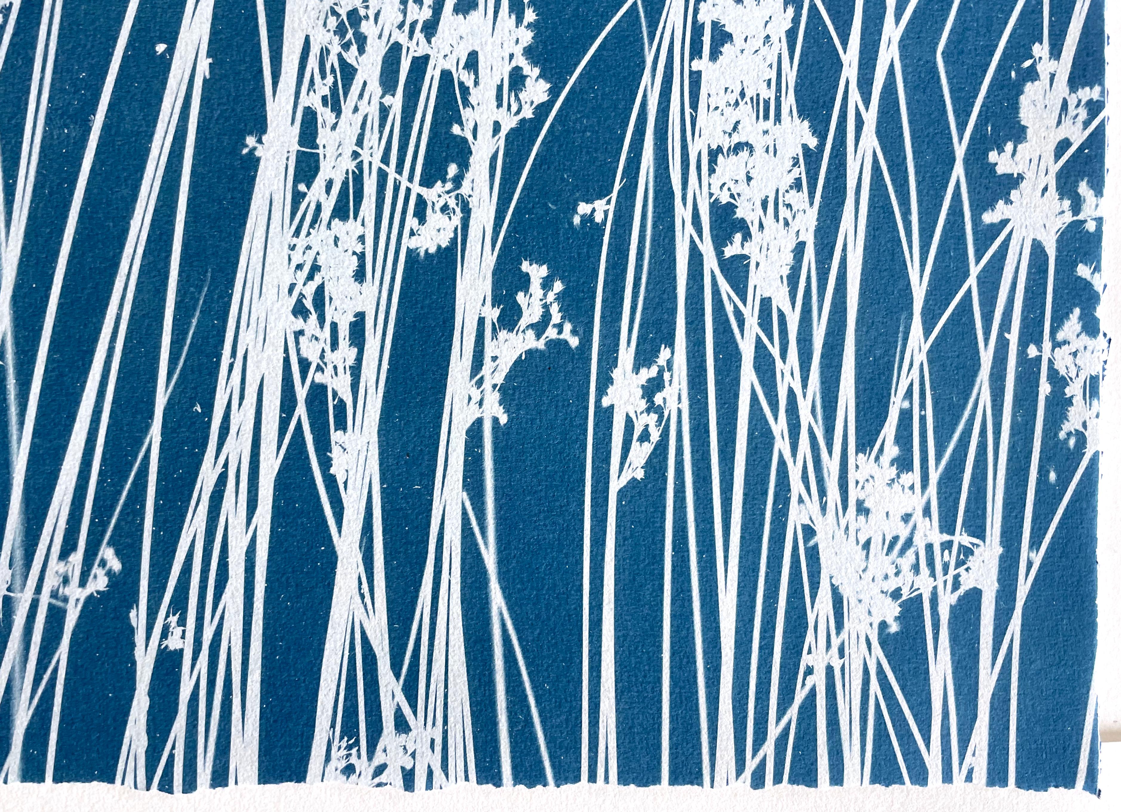 Viento en el pantano (cianotipia botánica impresa a mano, 24 x 60 pulgadas) 2