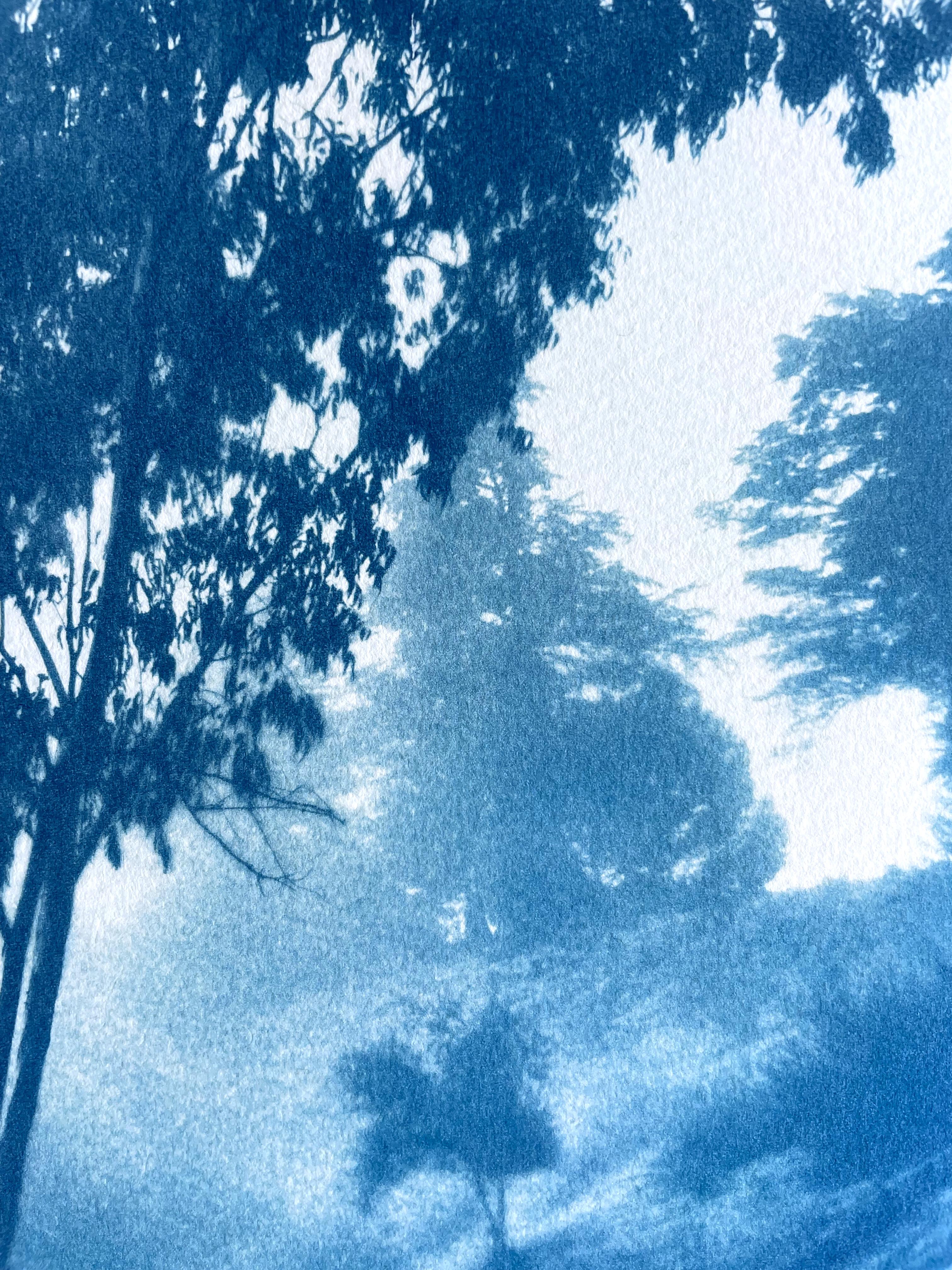 Winding Path (24 x 14 Zoll handgedruckte Cyanotypie) (Blau), Landscape Photograph, von Christine So