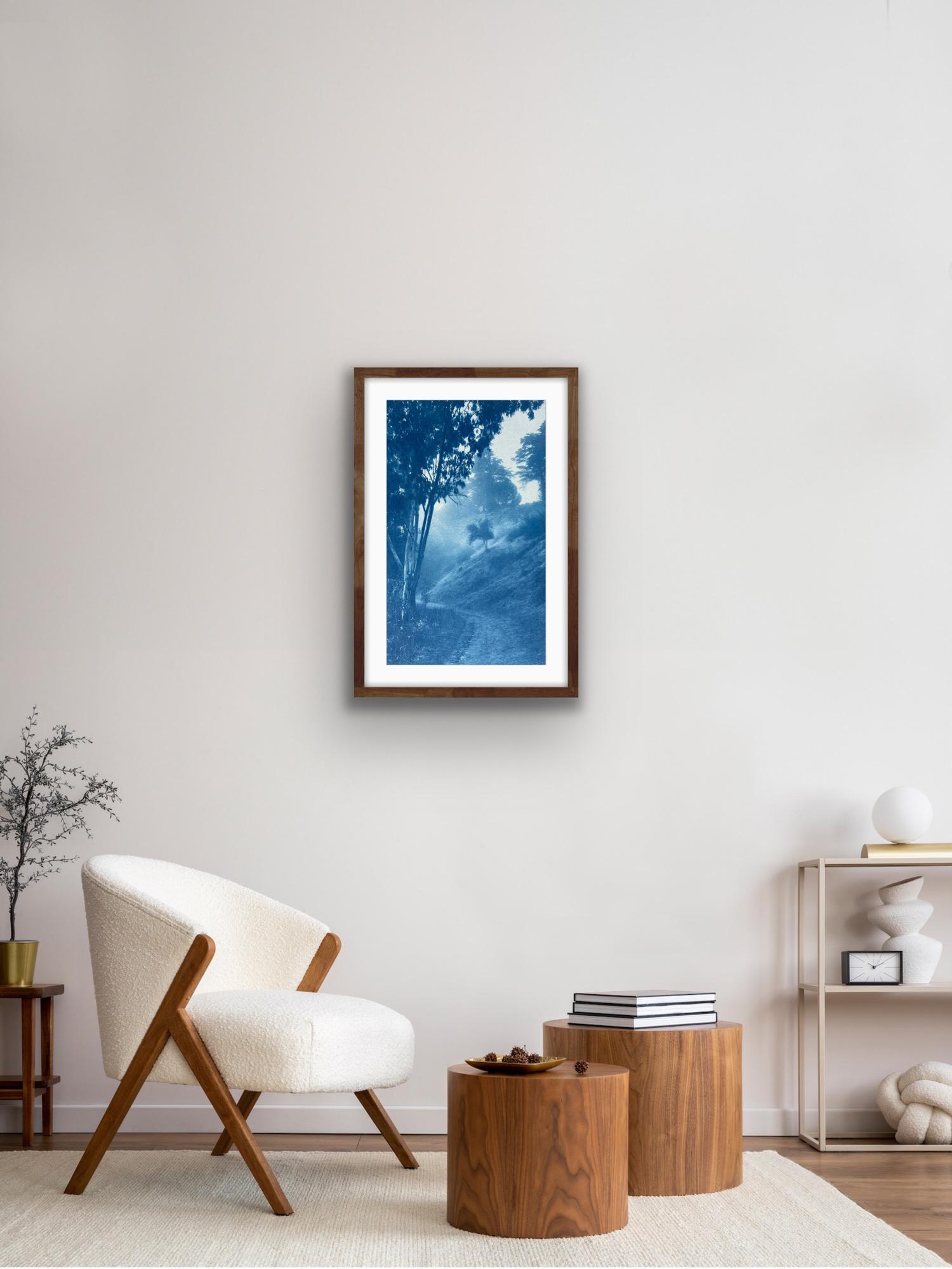 Winding Path (24 x 14 Zoll handgedruckte Cyanotypie) im Angebot 1