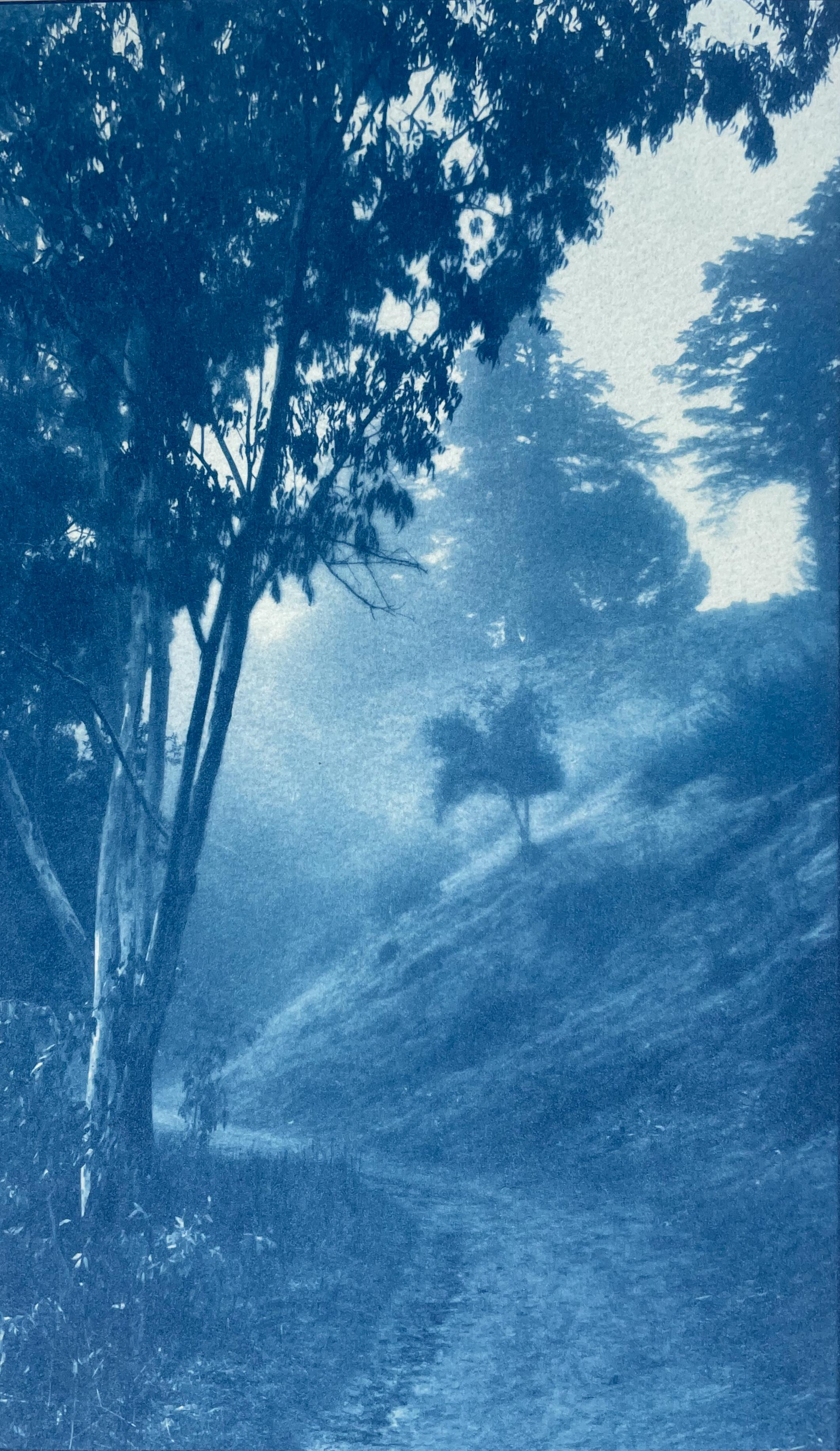 Christine So Landscape Photograph – Winding Path (24 x 14 Zoll handgedruckte Cyanotypie)