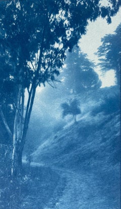 Path à remontage 24 x 14 pouces (cyanotype imprimé à la main)