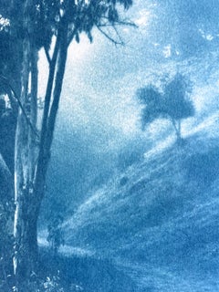 Winding Path Cyanotype, 11 x 18 in., edition 3/10