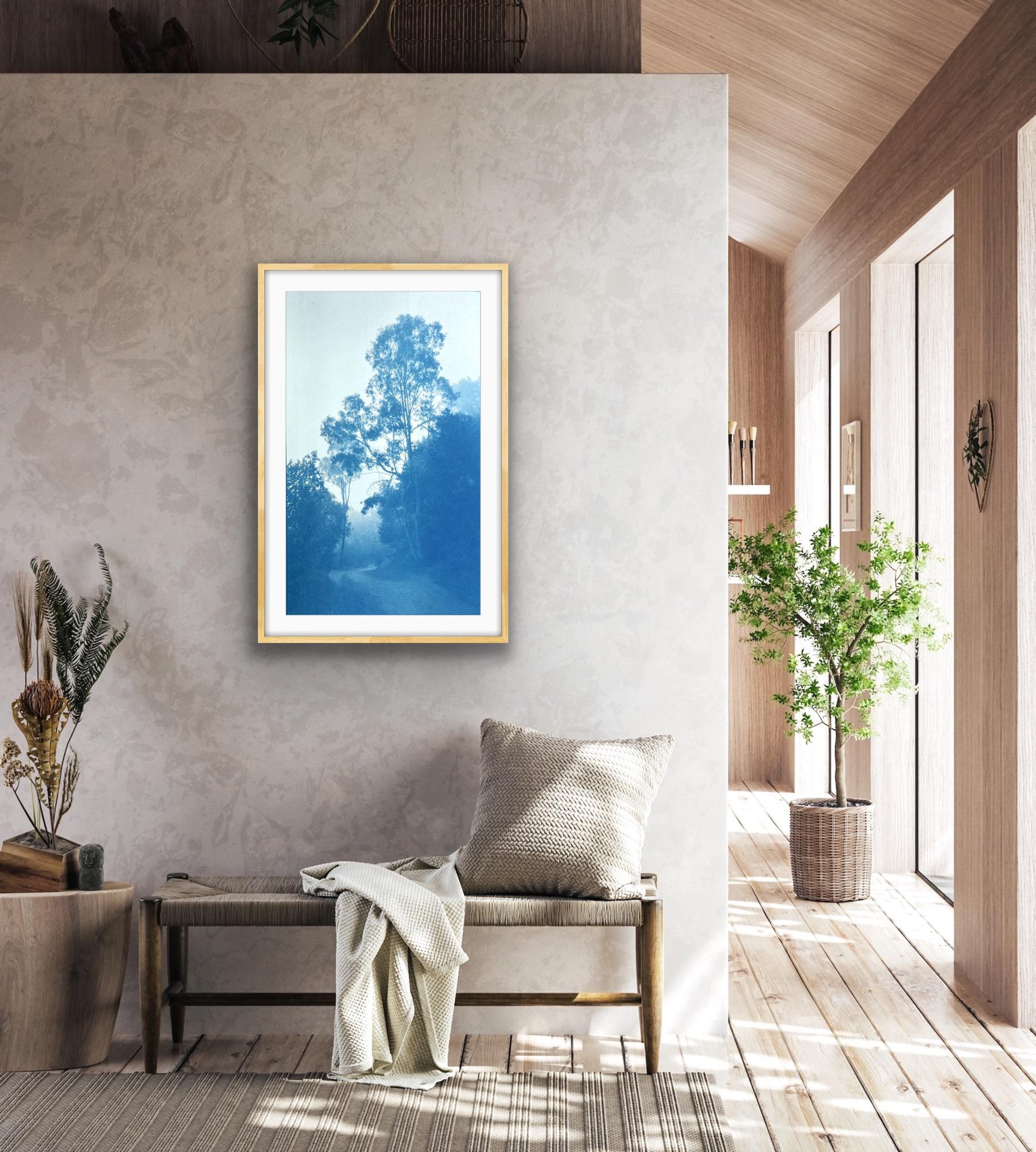 Bosques de invierno, edición 1 de 10 (cianotipia impresa a mano, 30 x 18 pulgadas) en venta 1