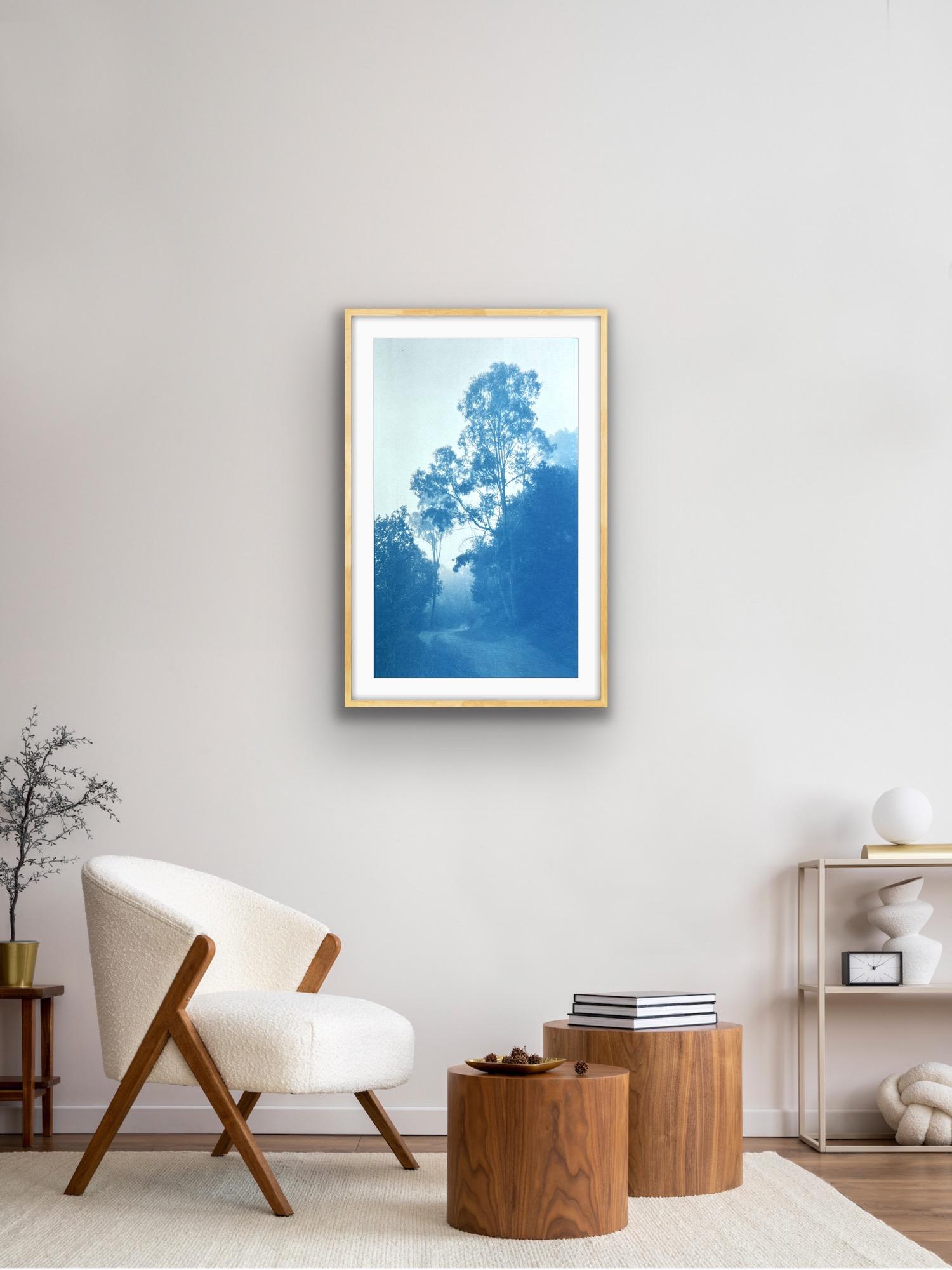 Bosques de invierno, edición 1 de 10 (cianotipia impresa a mano, 30 x 18 pulgadas) en venta 2