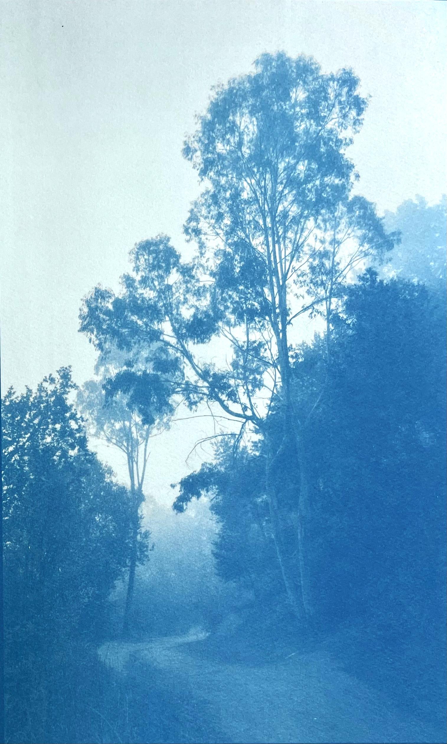 Landscape Print de Christine So - Bosques de invierno, edición 1 de 10 (cianotipia impresa a mano, 30 x 18 pulgadas)