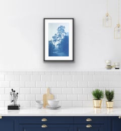 Winter Woods, Auflage 2 von 5 (handgedruckte Cyanotypie, 17,5 x 11 Zoll)