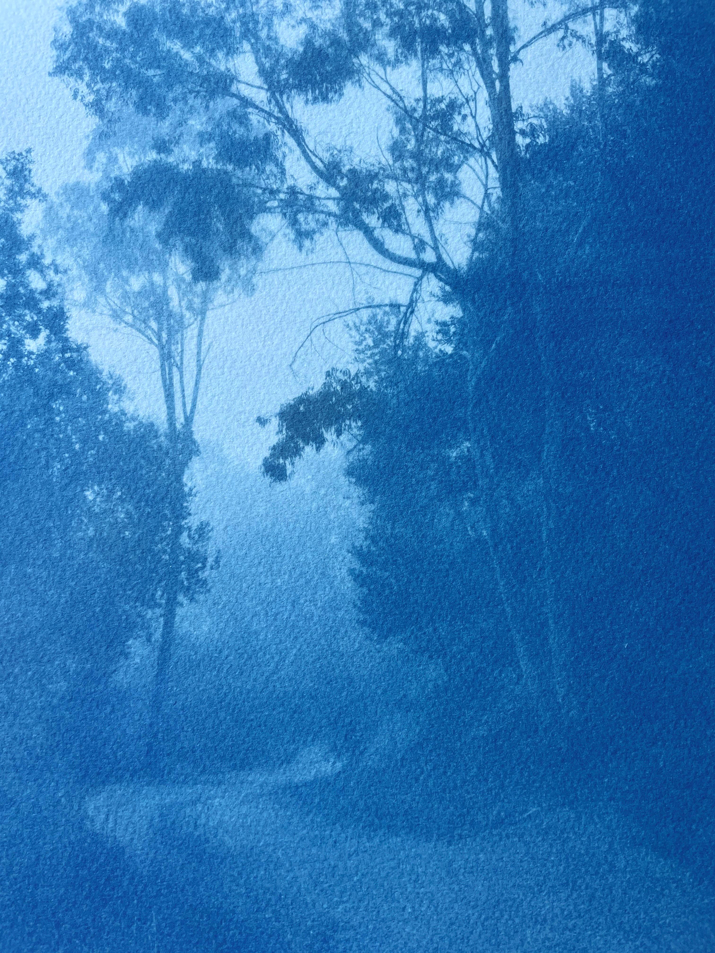 Bosques de invierno, edición 1 de 5 (cianotipia impresa a mano, 18 x 11 pulgadas) - Photograph Contemporáneo de Christine So