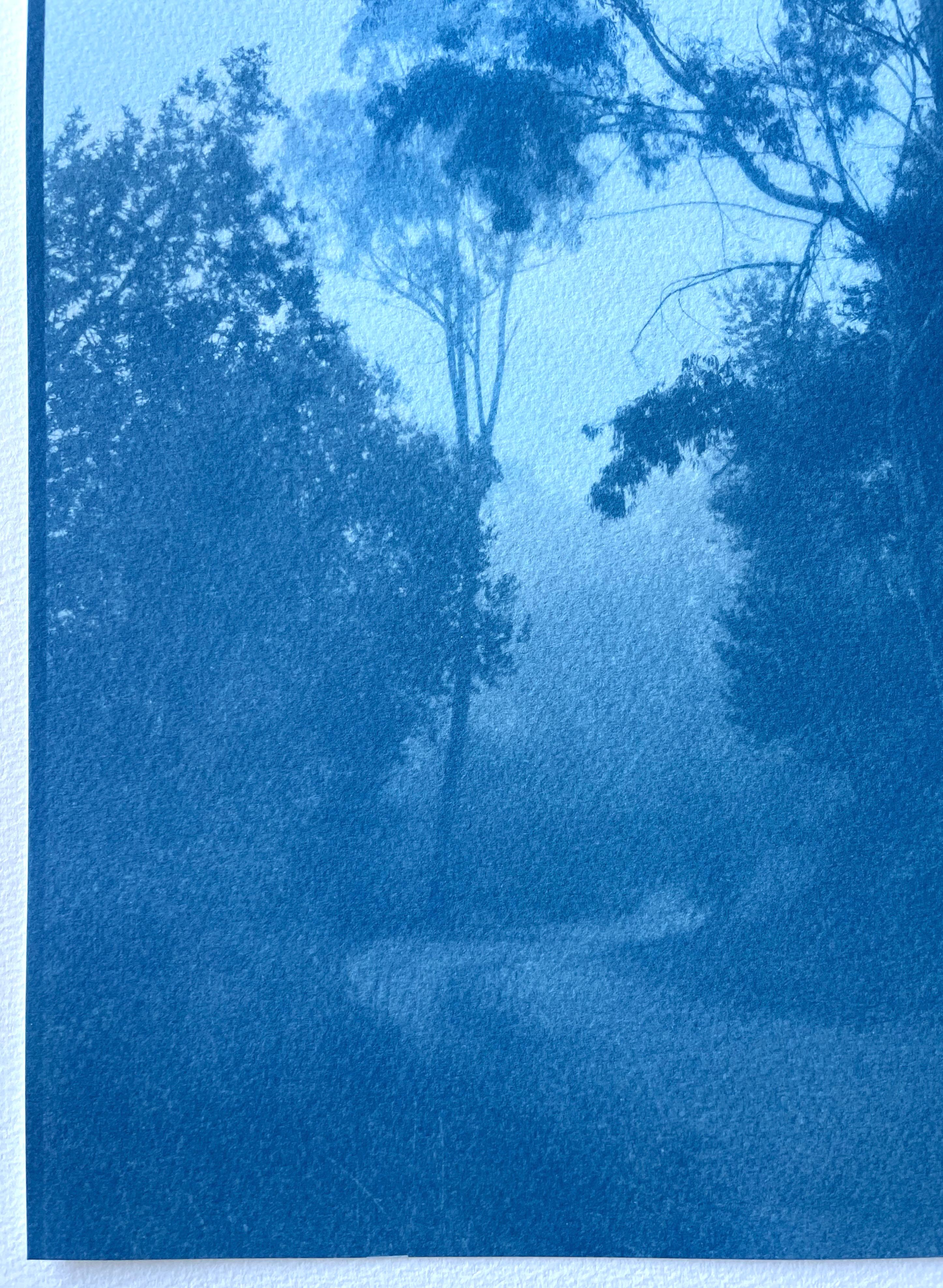 Bosques de invierno, edición 1 de 5 (cianotipia impresa a mano, 18 x 11 pulgadas) - Landscape Photograph Azul de Christine So