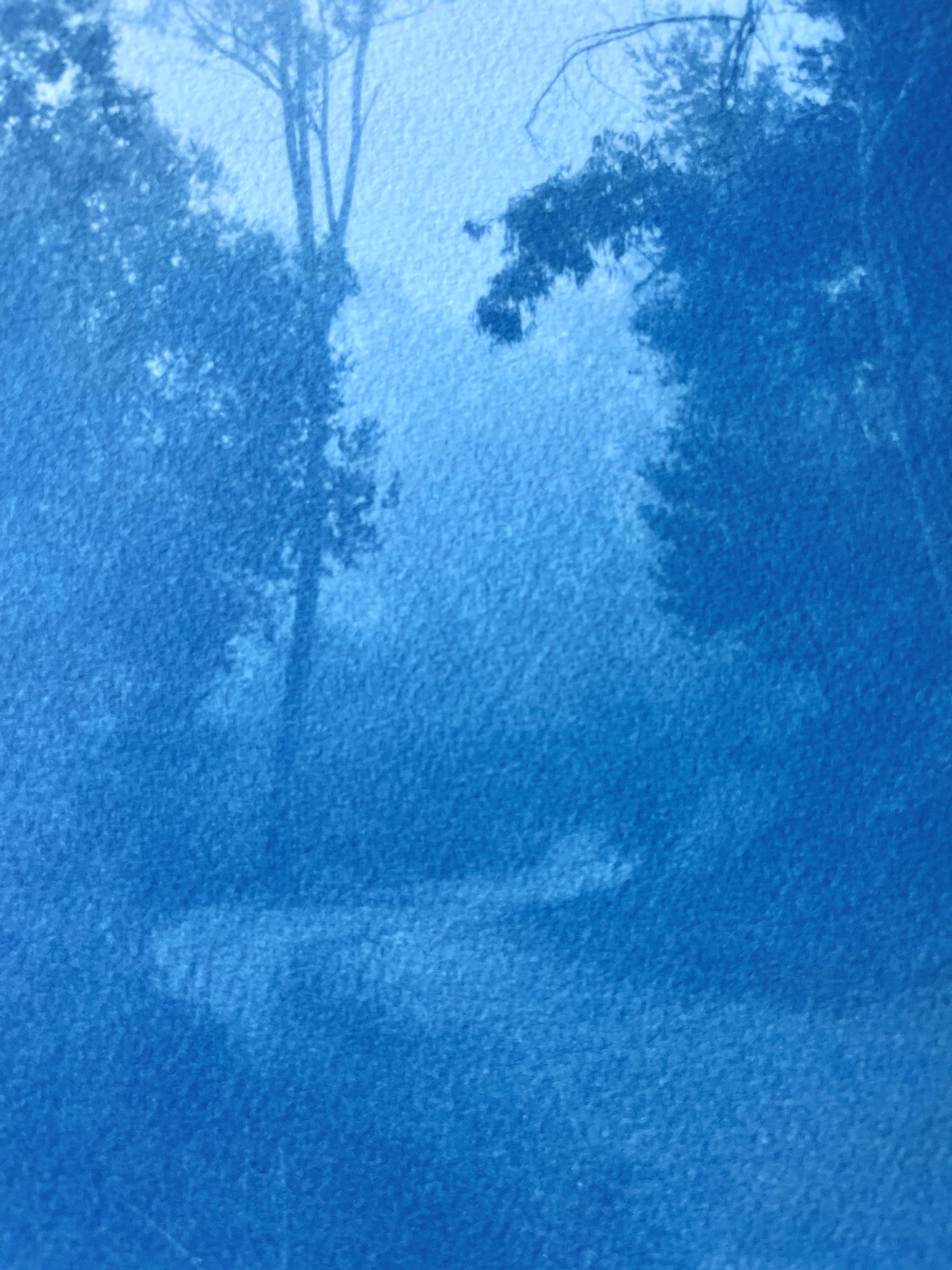 Bosques de invierno, edición 1 de 5 (cianotipia impresa a mano, 18 x 11 pulgadas) en venta 1