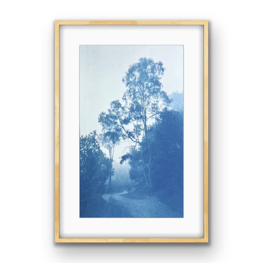 Bosques de invierno, edición 1 de 5 (cianotipia impresa a mano, 18 x 11 pulgadas) en venta 2