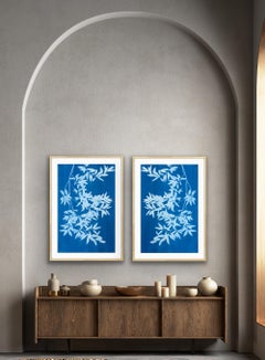 Bay Laurel Diptych (Hand-printed cyanotype, 40 x 52 inches combined)