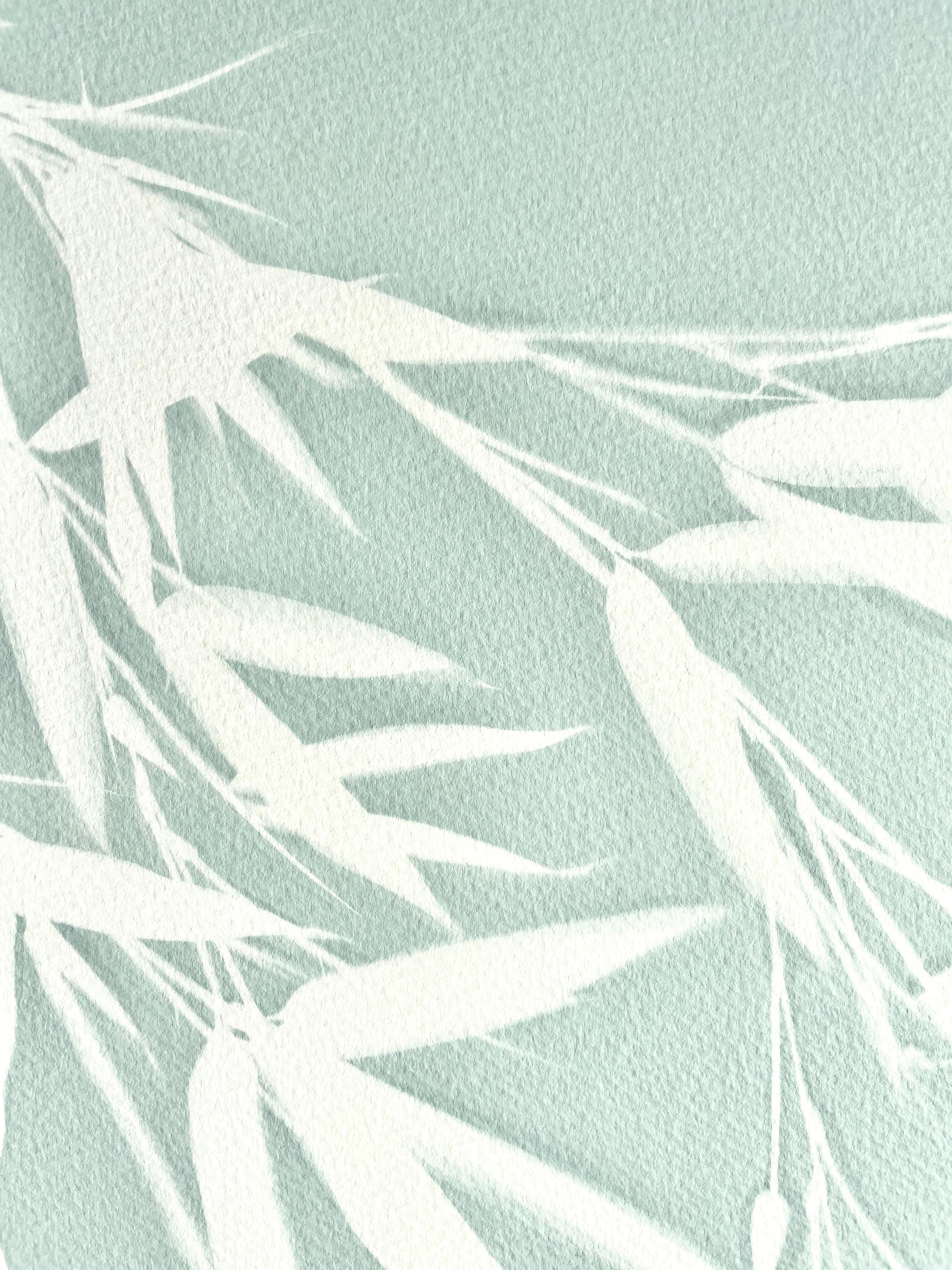 Celadon Bamboo (hand-printed botanical cyanotype, 24 x 18 inches) - Contemporary Photograph by Christine So