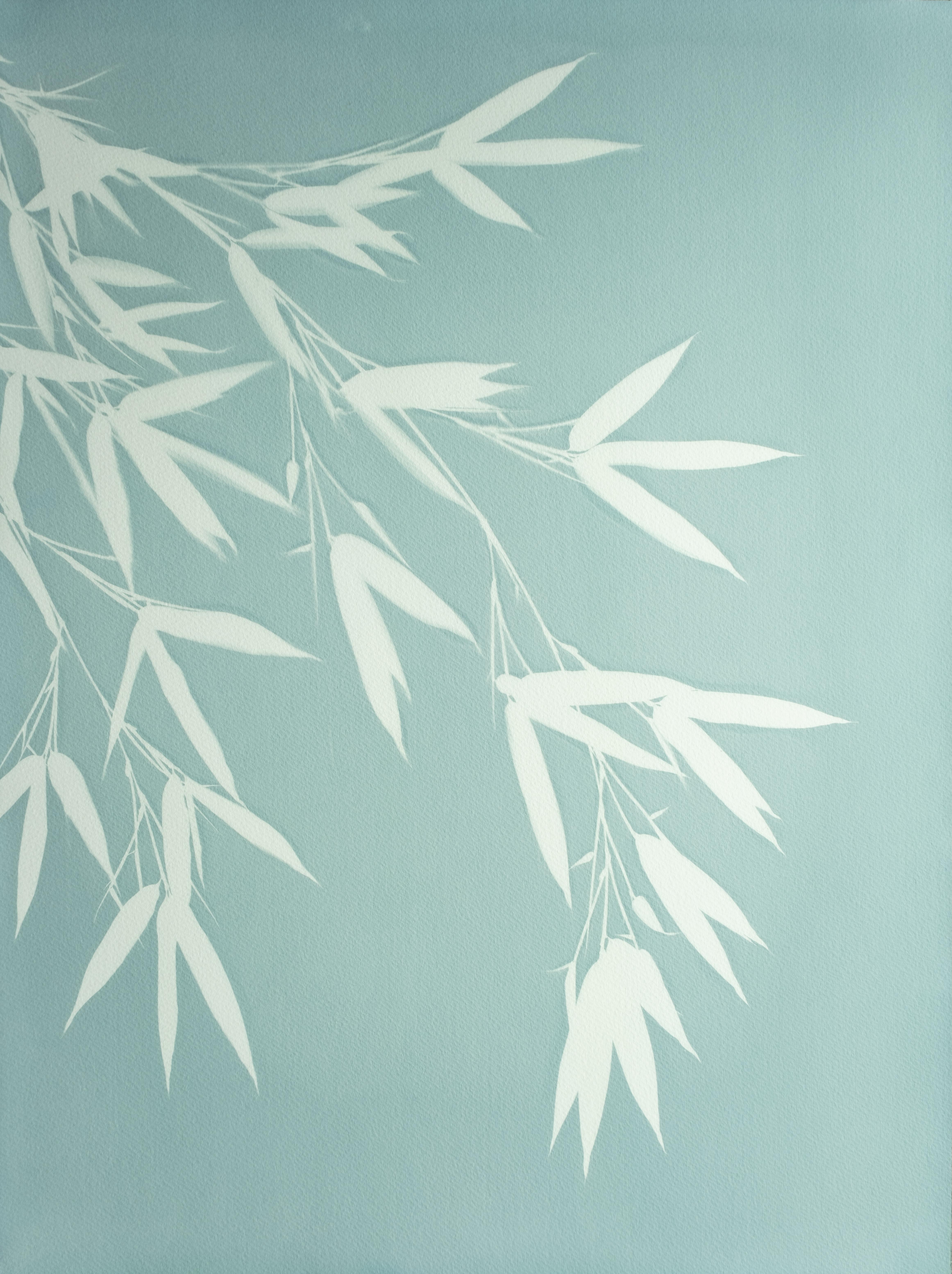 Christine So Still-Life Photograph – Celadon Bambus (handgedruckte botanische Cyanotypie, 24 x 18 Zoll)